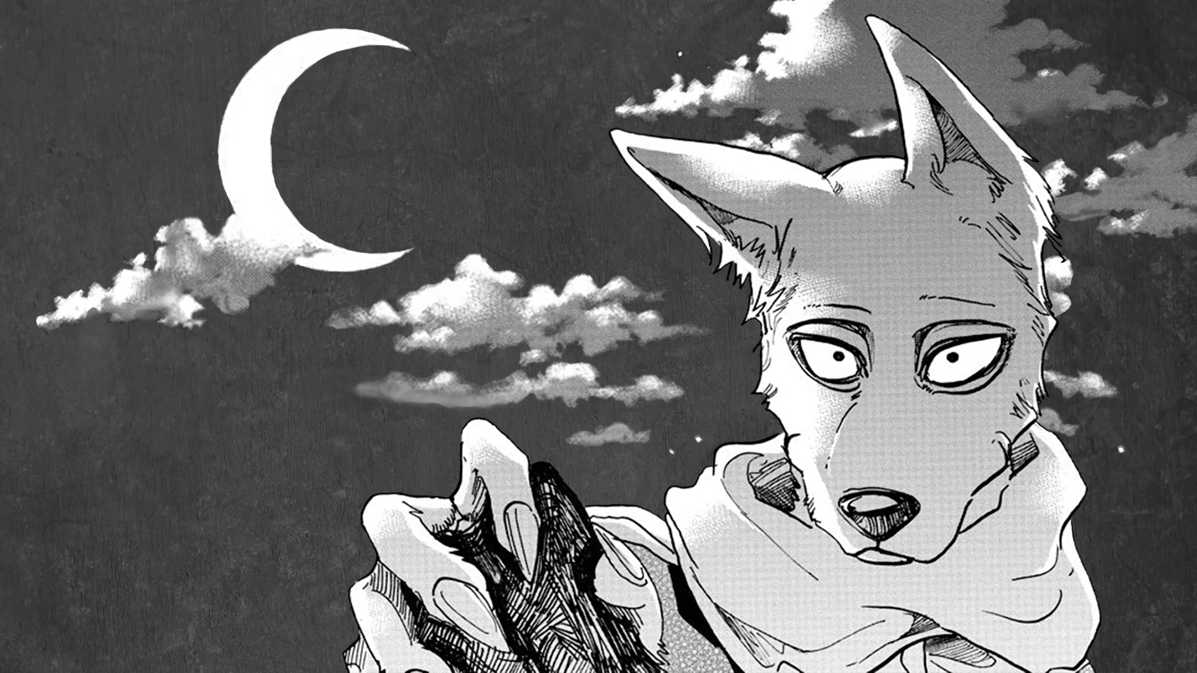 Beastars, shaved Legosi, 4K Desktop Wallpaper