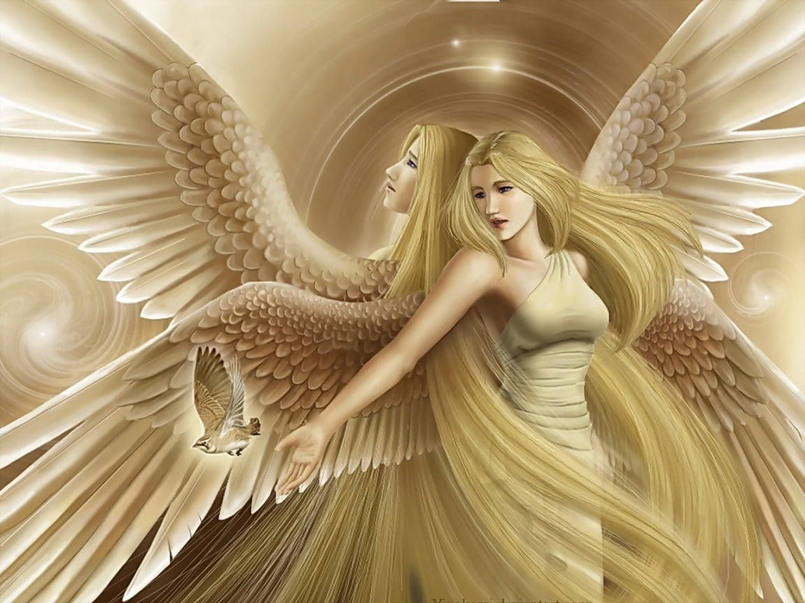 monochrome, two beautiful angels, golden wings, SD Desktop Wallpaper