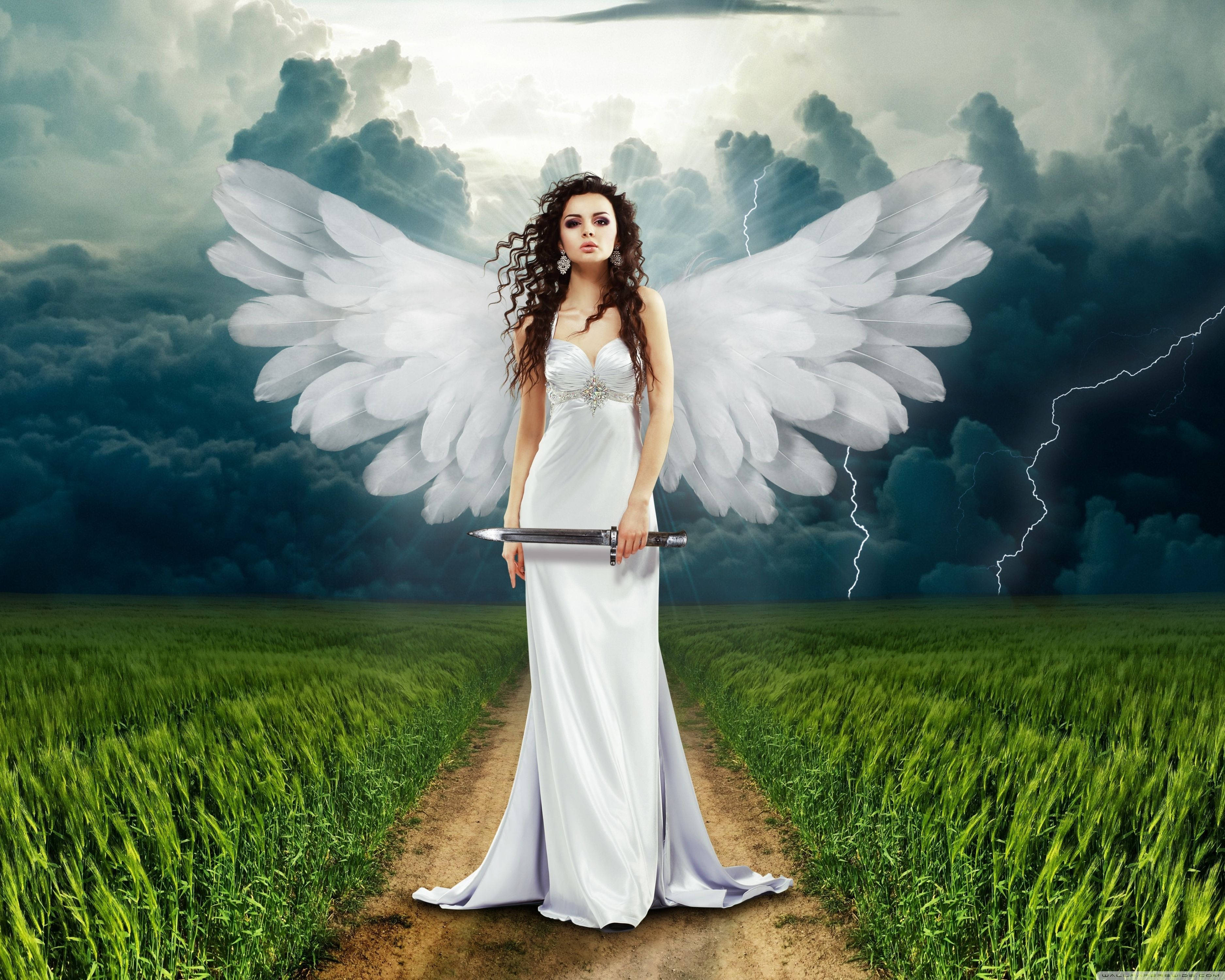 Beautiful Angels, sword, white angel wings, 2K Desktop Wallpaper