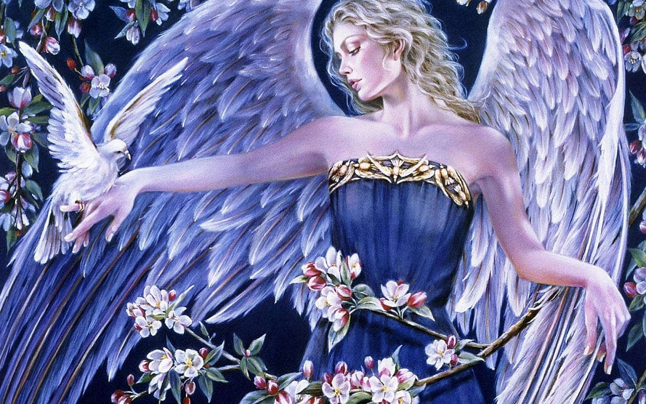 Beautiful Angels, blue dress, white wings, HD Desktop Wallpaper