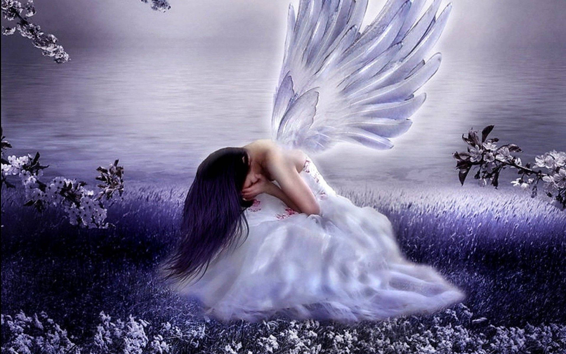 Beautiful Angels, translucent wings, field of purple flowers, Full HD Desktop Wallpaper