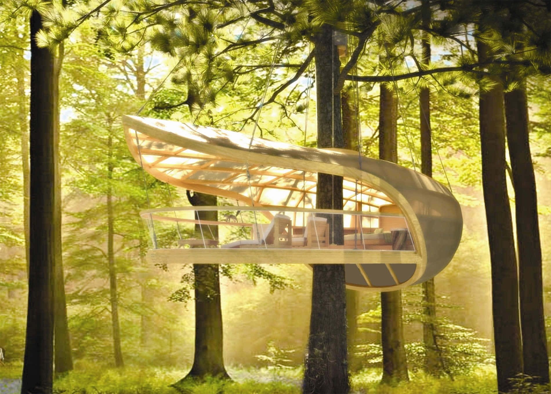 sleek curved treehouse, tall pine trees, golden sunlight, HD Desktop Wallpaper