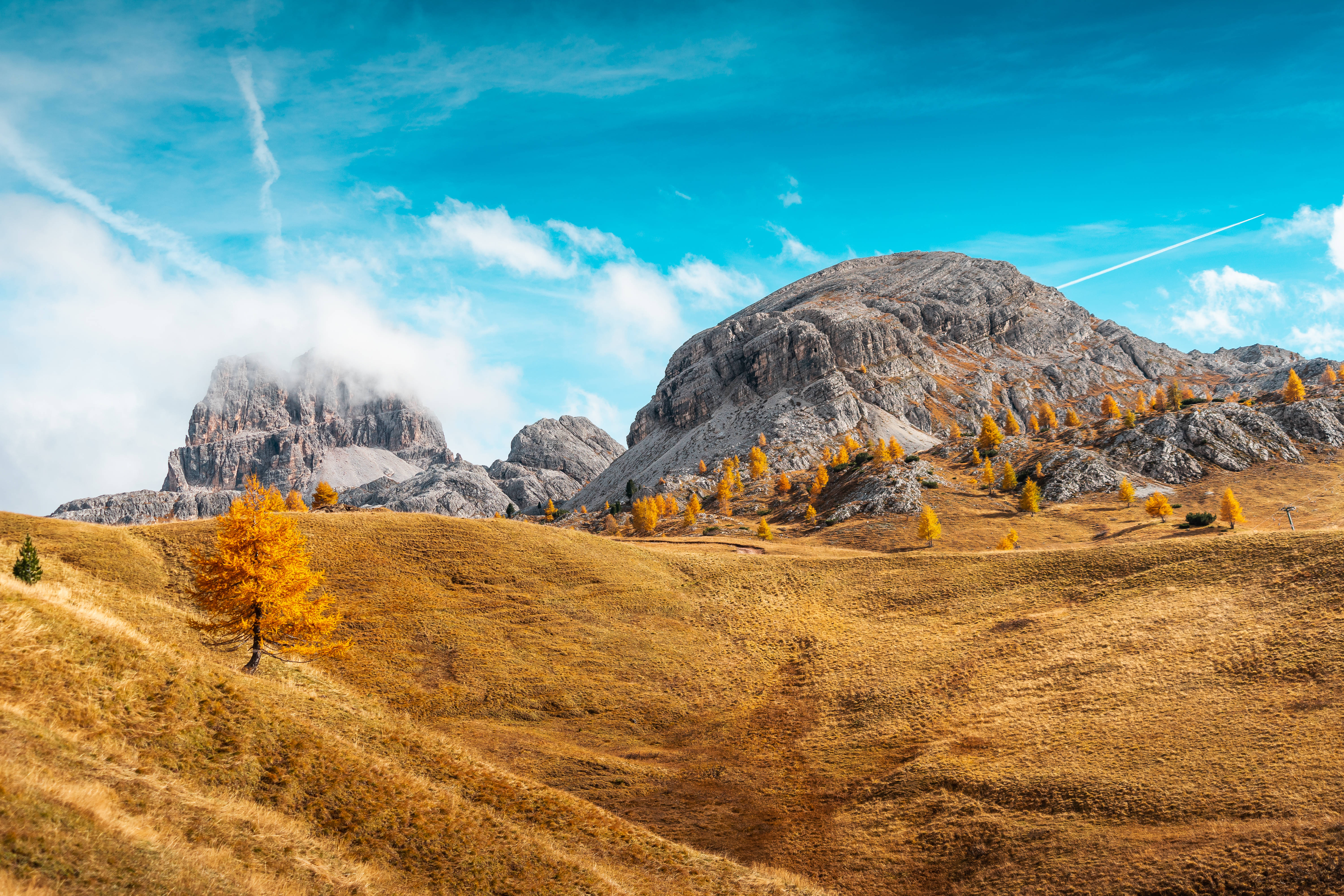 golden larch trees, rolling autumn hills, bright blue sky, 5K Desktop Wallpaper
