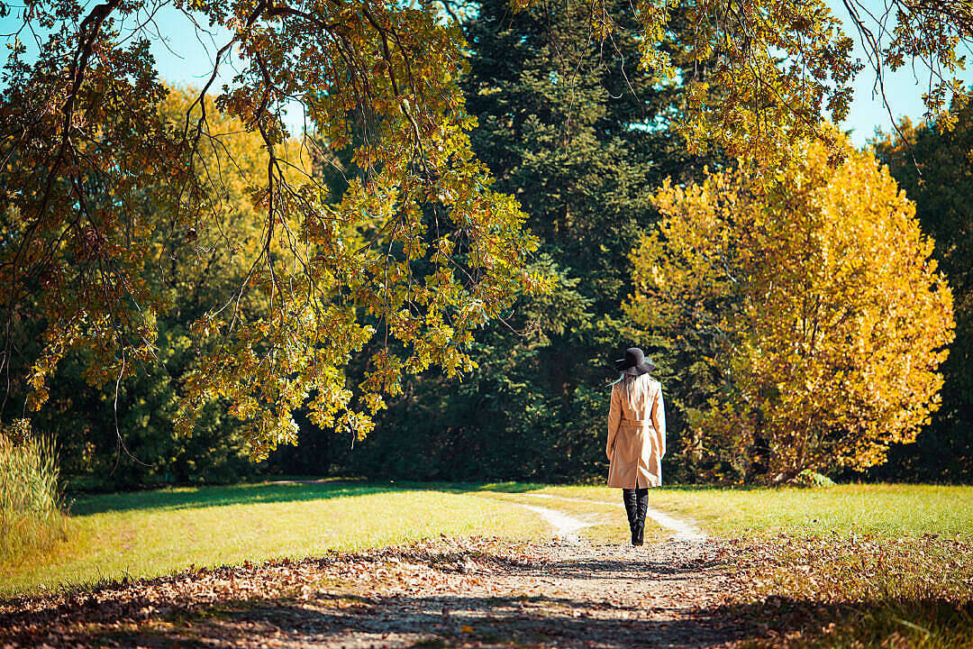 beige coat, black hat, leaf-strewn path, SD Desktop Wallpaper