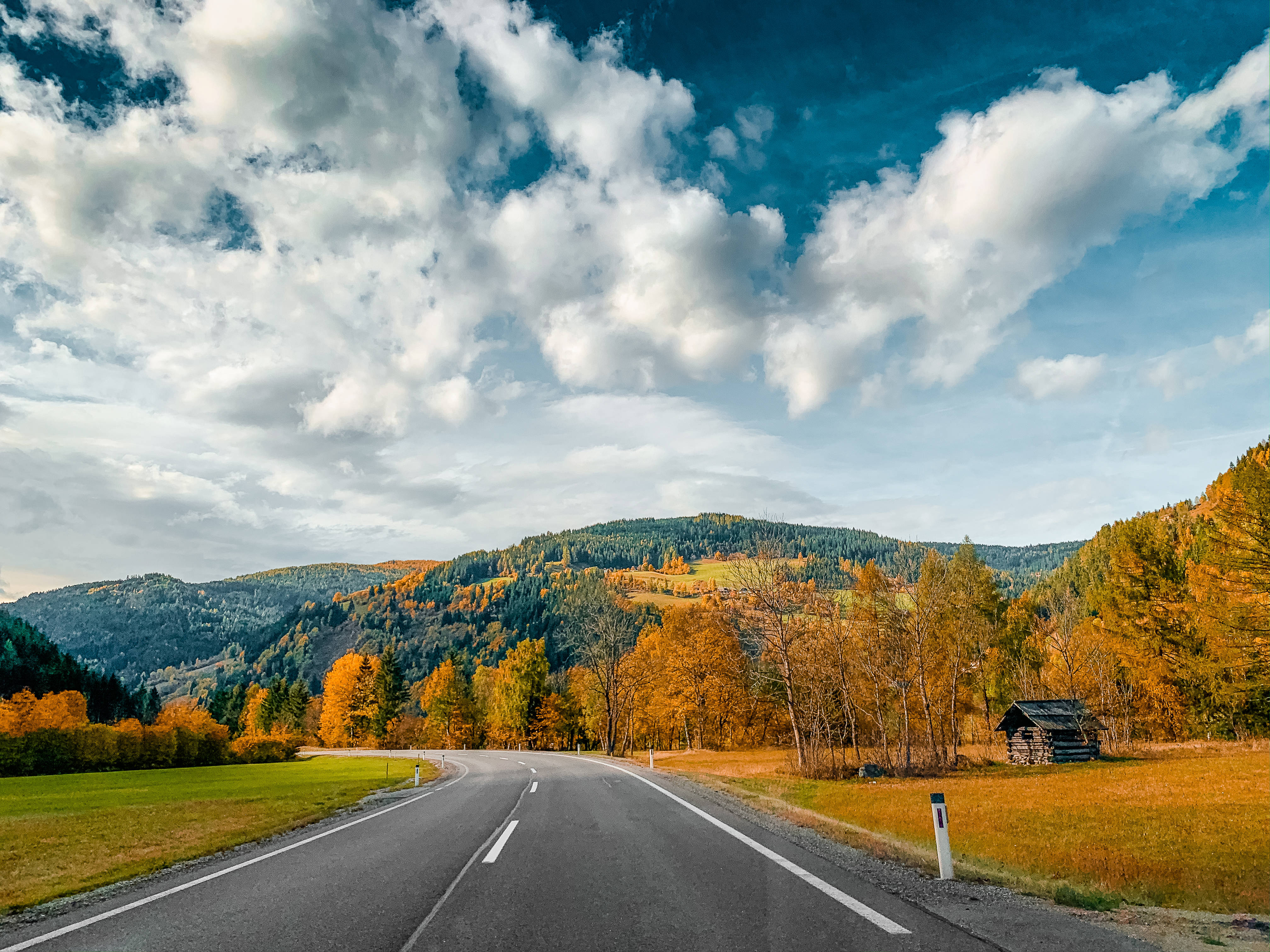 country road, autumn hills, golden trees, 4K Desktop Wallpaper