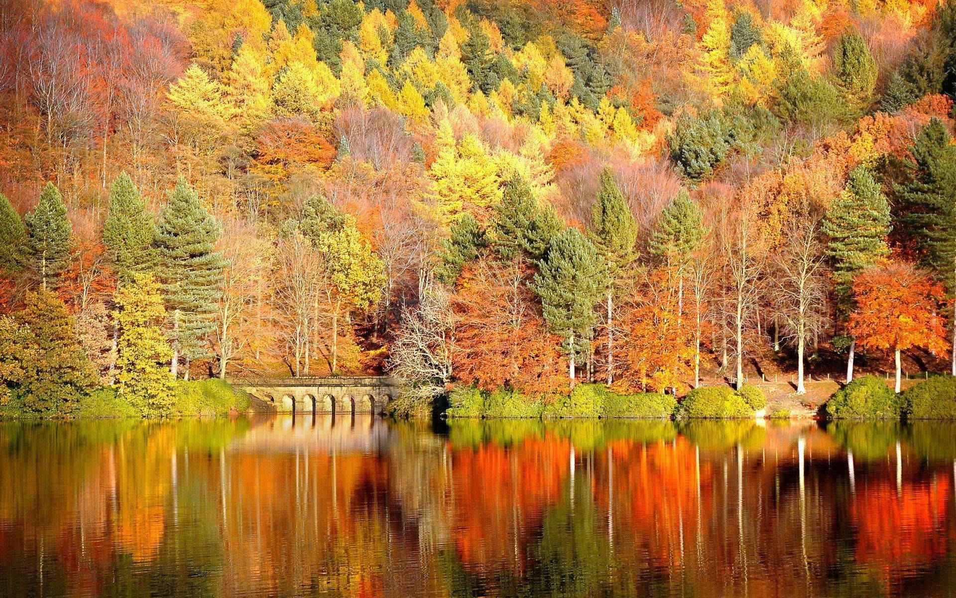 autumn lake, vibrant forest of red orange and yellow trees, stone bridge, Full HD Desktop Wallpaper