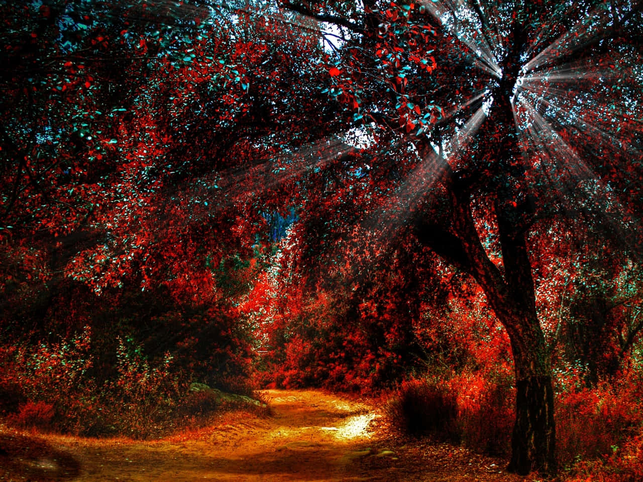 tumblr, autumn, red, HD Desktop Wallpaper