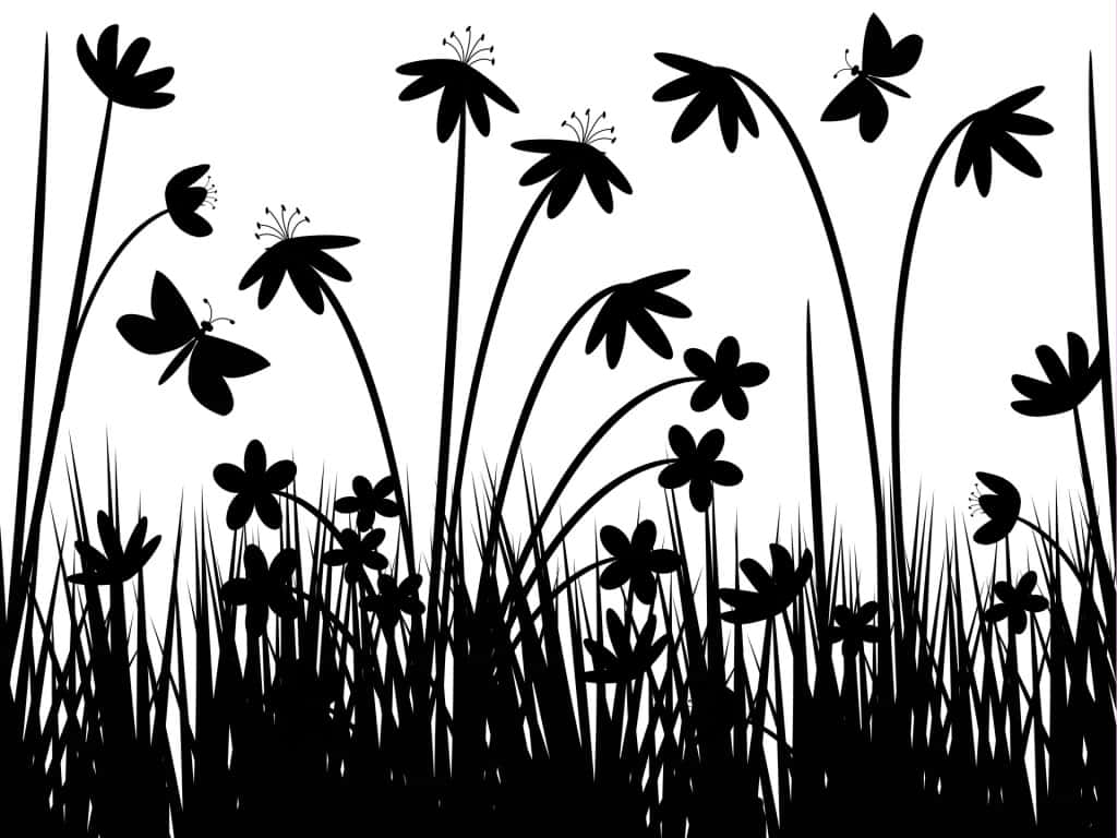 tall grass flowers, butterflies, black silhouette, SD Desktop Wallpaper