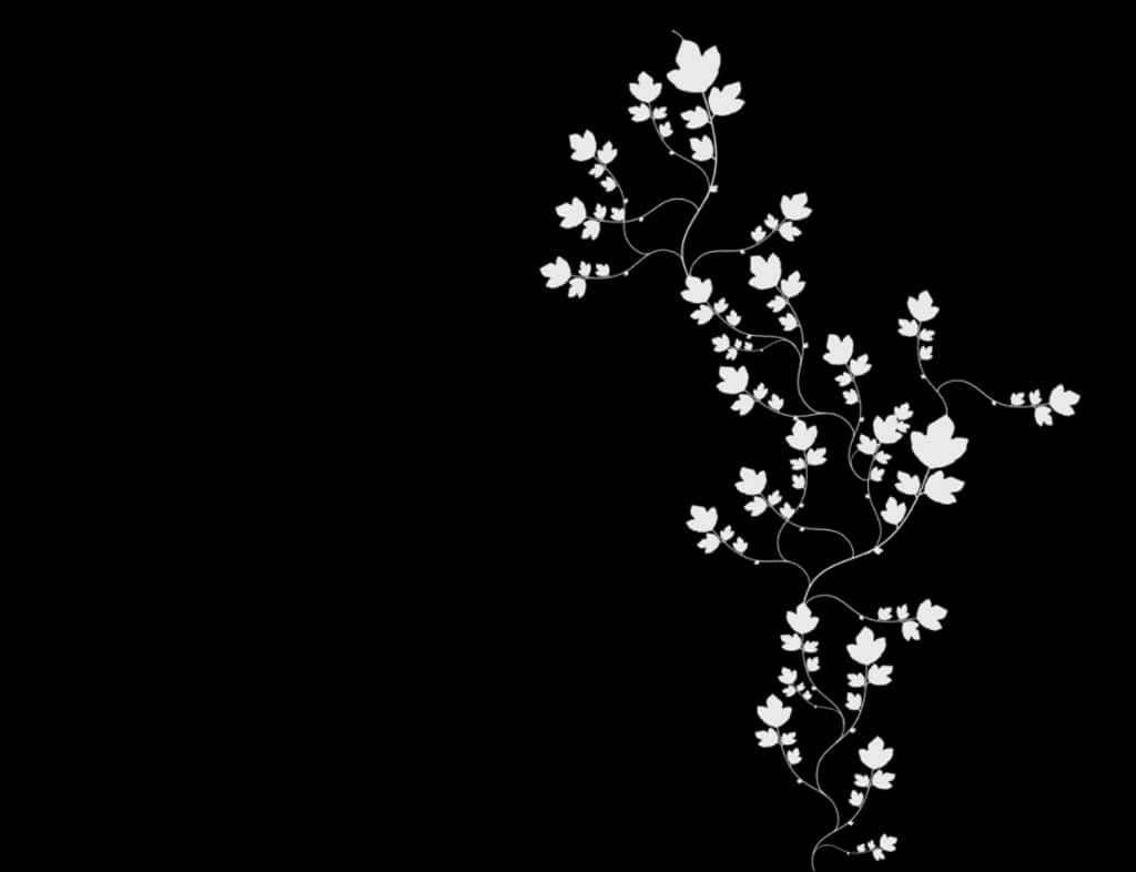 black and white forest scenery, white floral vines, leaves and blossoms, SD Desktop Wallpaper