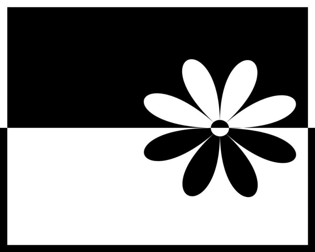 Elegant Monochrome Forest Scene, black and white abstract flower, alternating petals, SD Desktop Wallpaper
