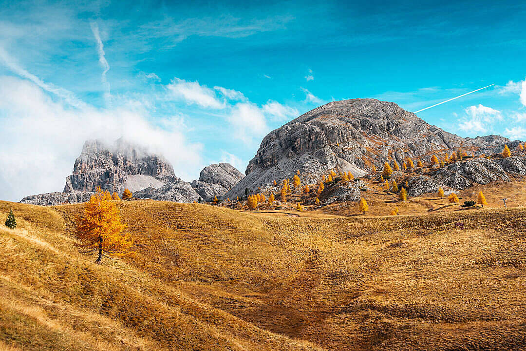 autumn, golden larch trees, rolling hills, SD Desktop Wallpaper