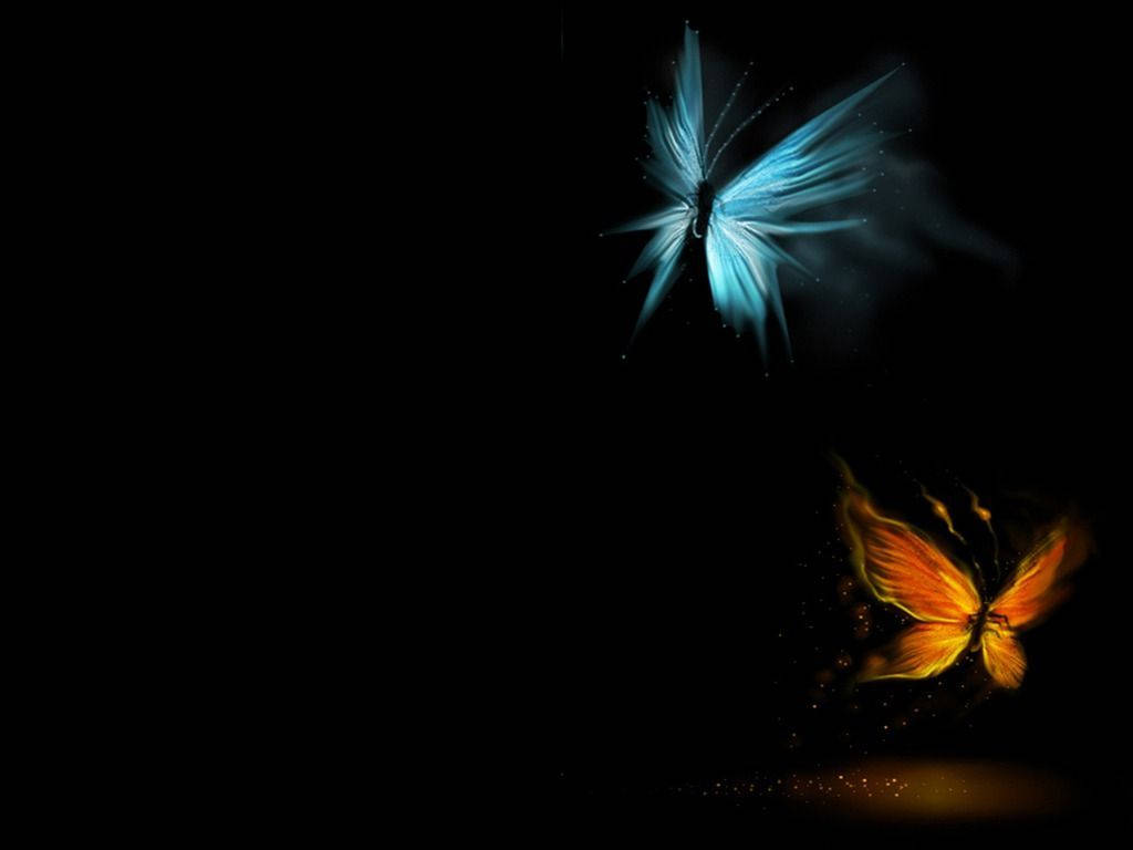 glowing butterflies, blue butterfly, orange butterfly, SD Desktop Wallpaper