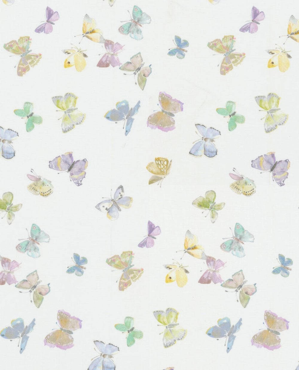pastel butterfly, white background, watercolor butterflies, SD Phone Wallpaper