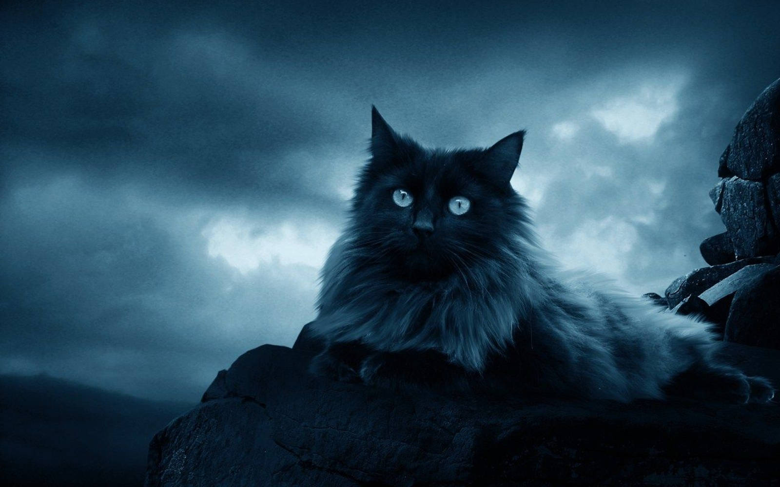black cat, glowing eyes, dark rocks, HD Desktop Wallpaper
