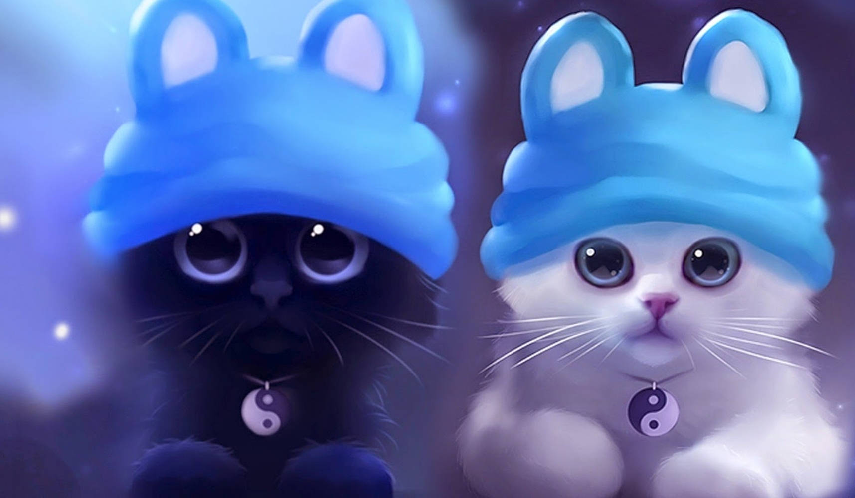black cat, white cat, blue bunny hats, HD Desktop Wallpaper