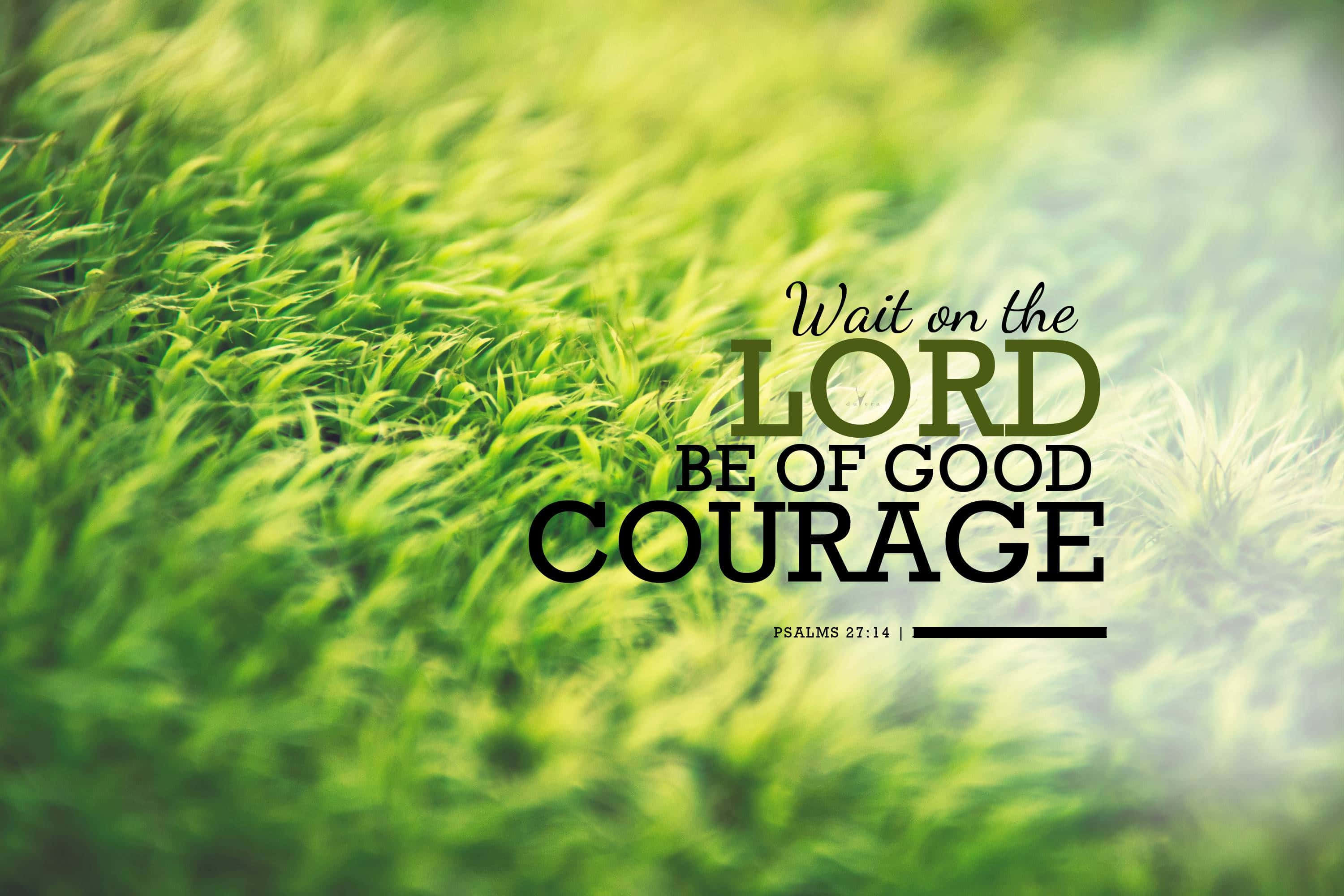 PSALMS 27:14, Wait on the LORD BE OF GOOD COURAGE, vibrant green grass, 2K Desktop Wallpaper