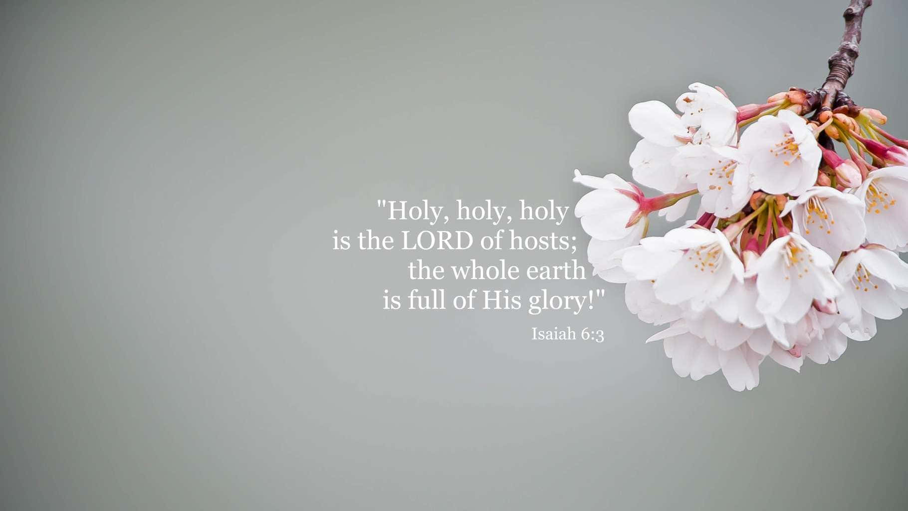 white cherry blossoms, soft gray background, biblical quote, HD Desktop Wallpaper