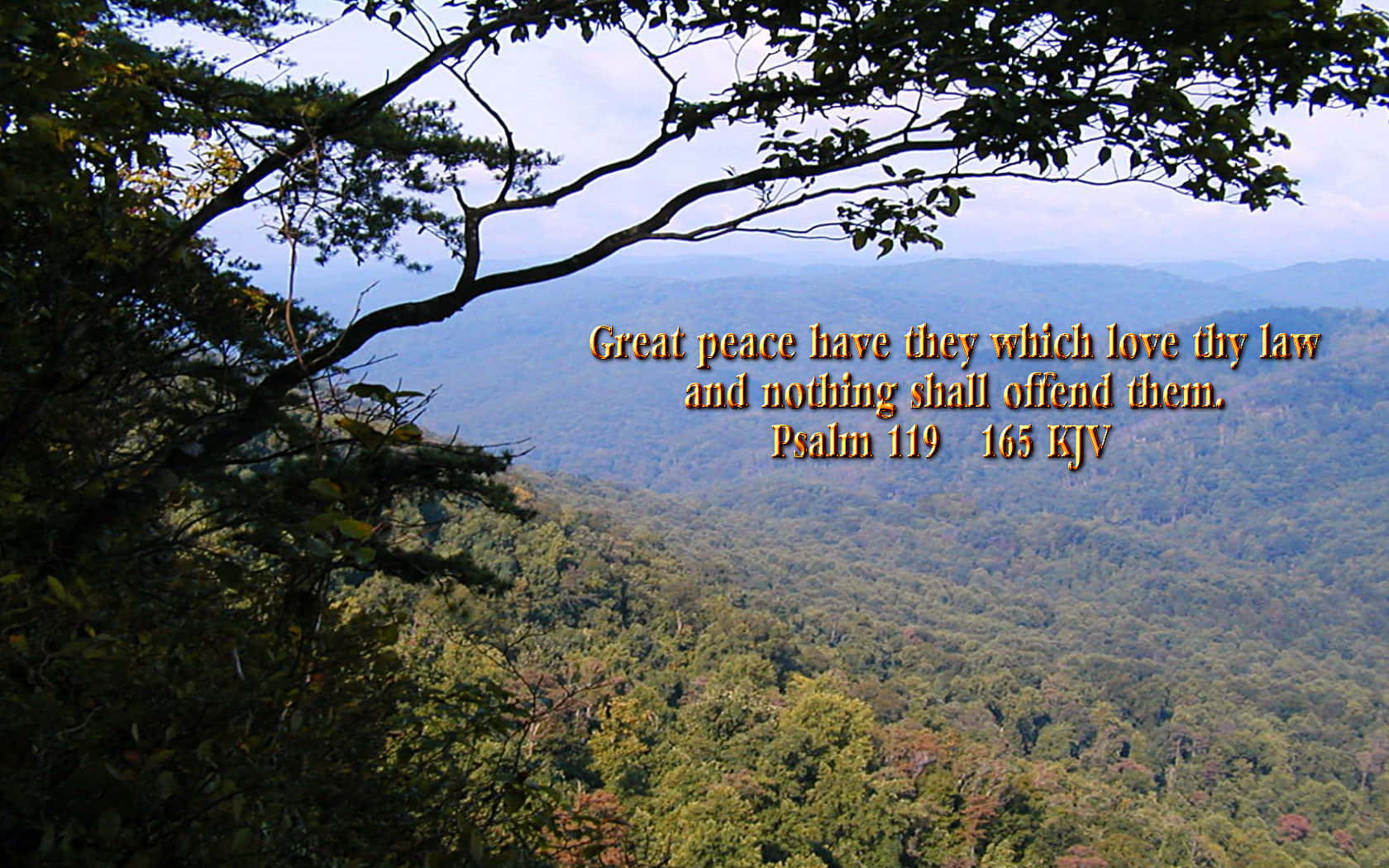 Beautiful Christian, mountain vista, tree branches, HD Desktop Wallpaper