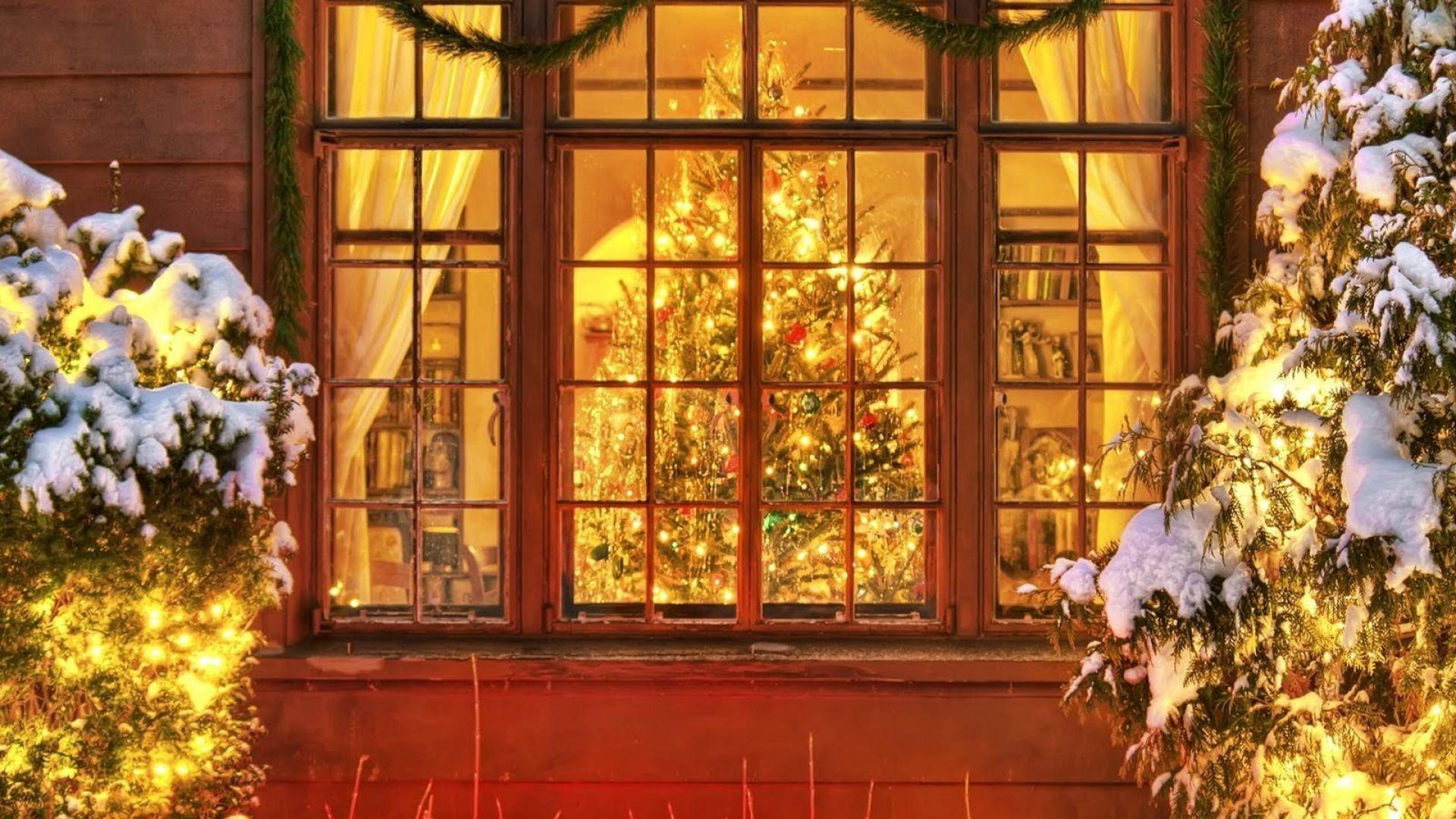 Christmas tree, window, snow-dusted evergreens, Full HD Desktop Wallpaper