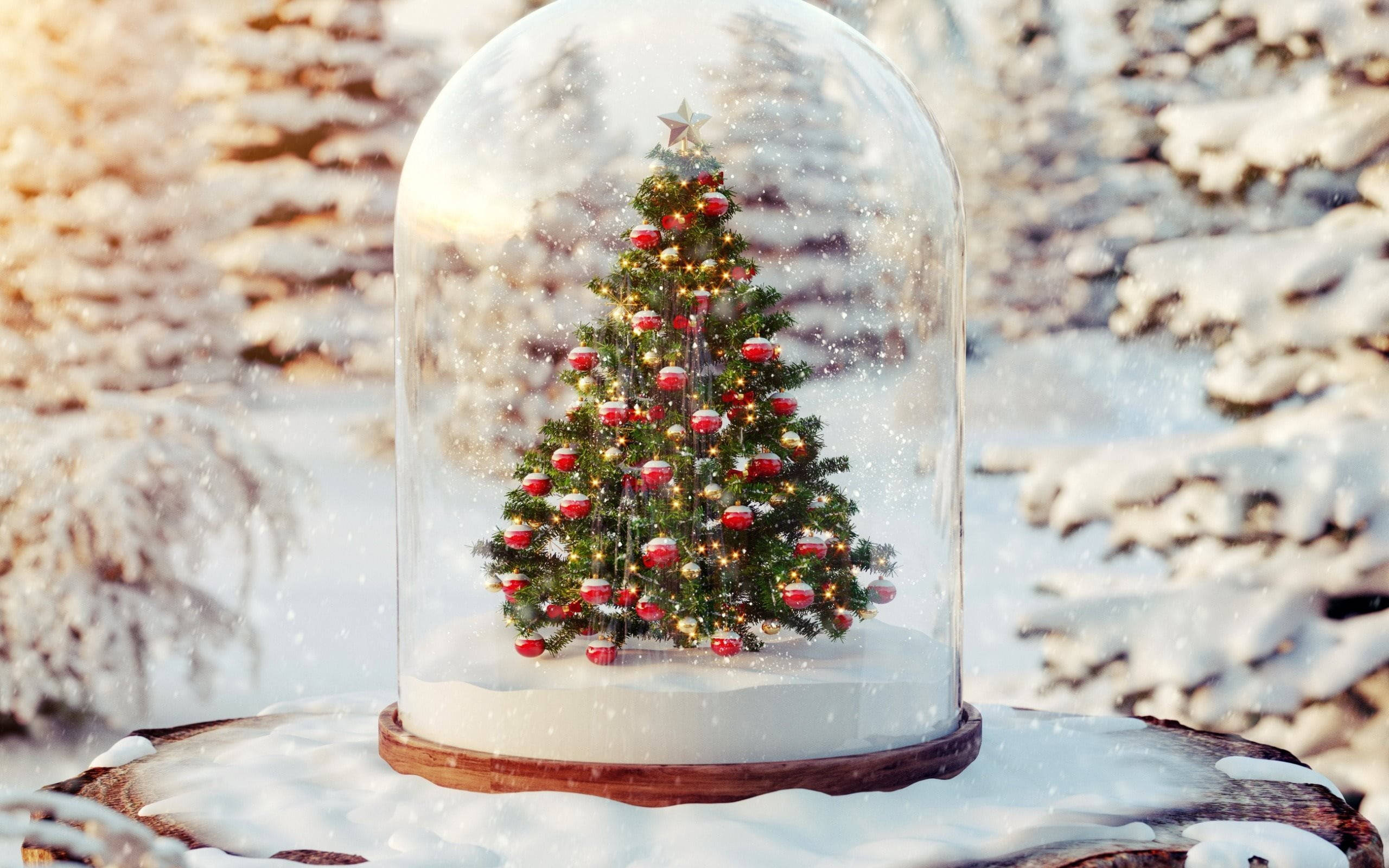 Beautiful Christmas, snow globe, Christmas tree, 2K Desktop Wallpaper