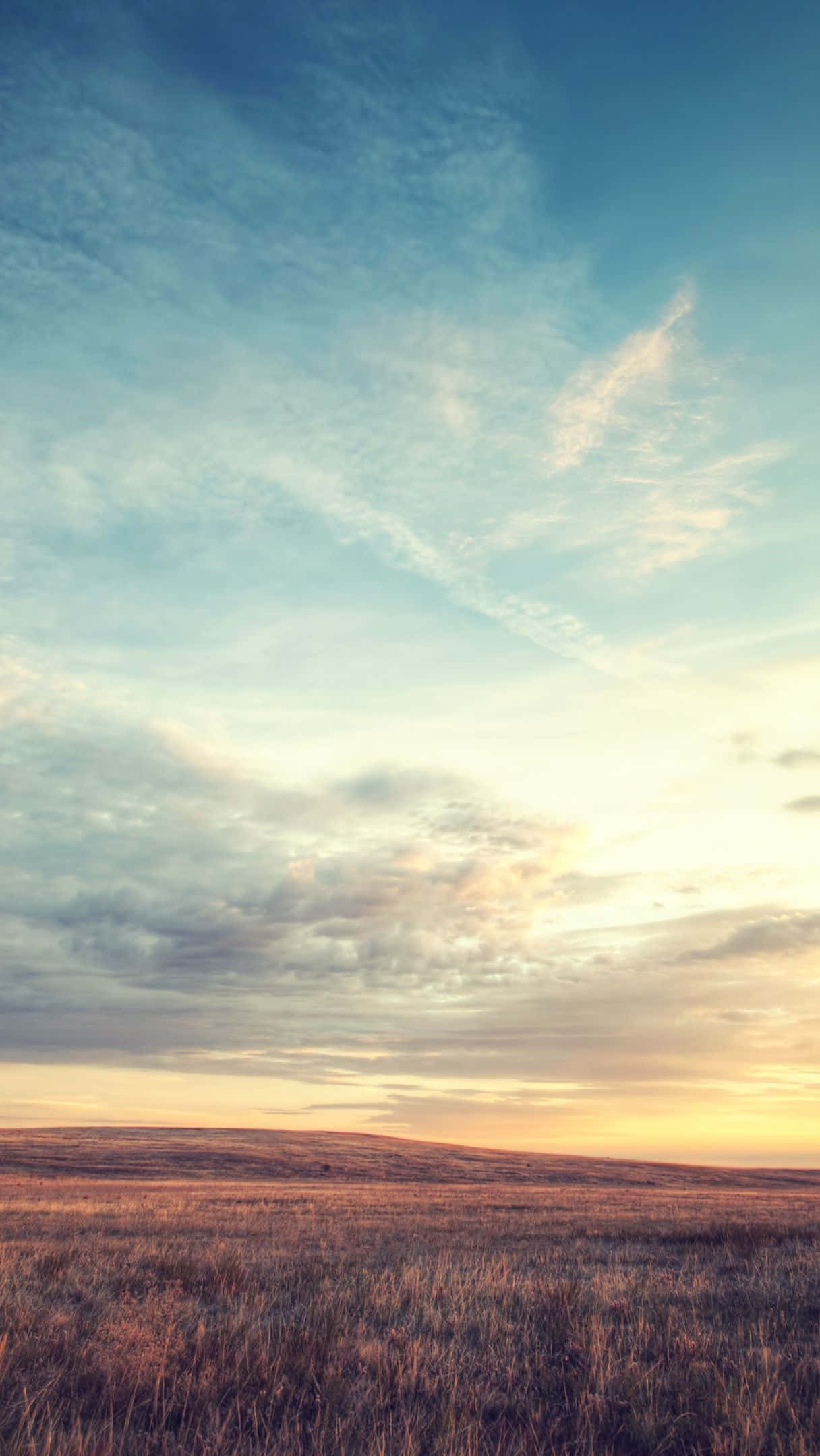golden grassland, soft blue sky, wispy clouds, Full HD Phone Wallpaper