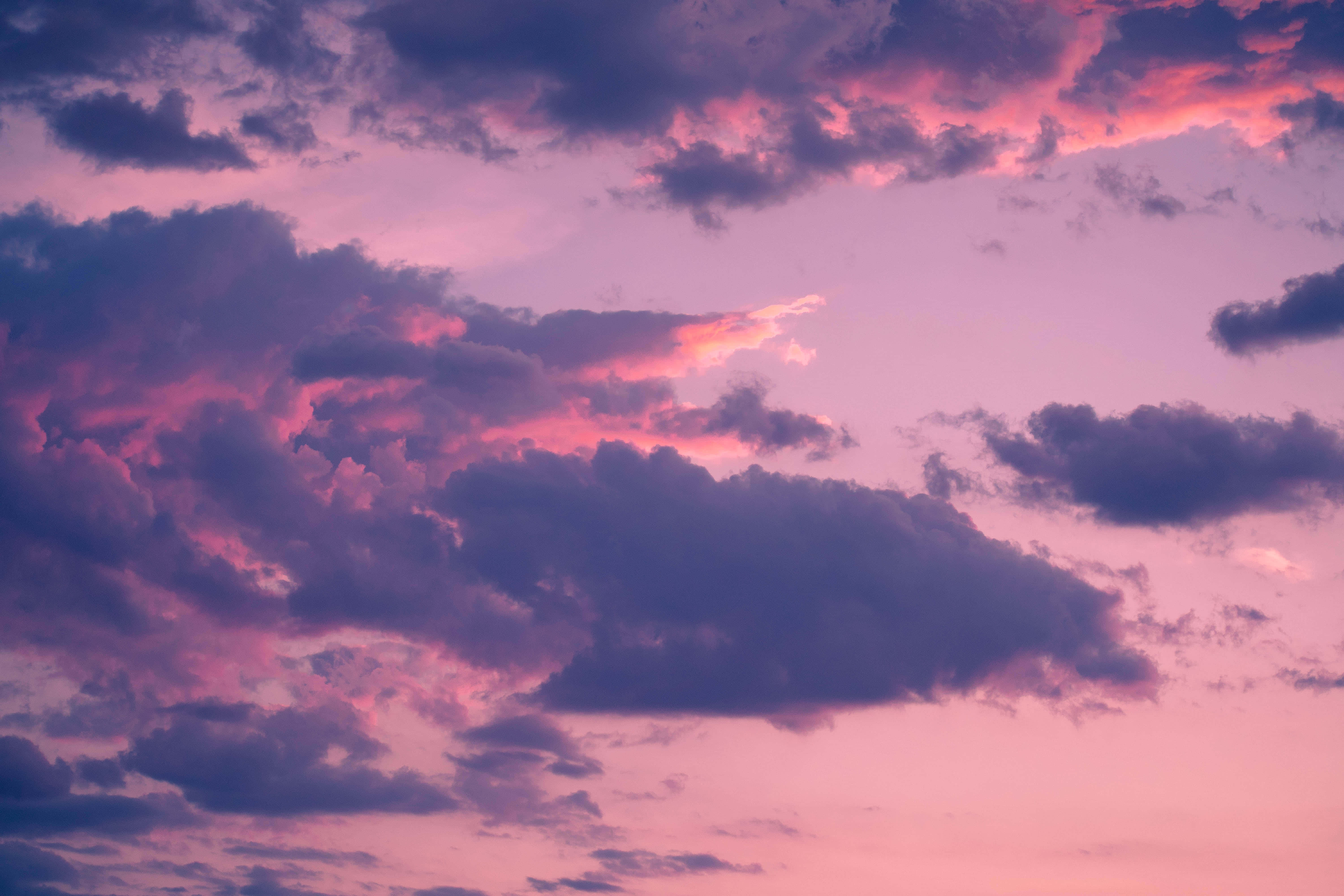 Sea of Clouds, twilight sky, pink, 5K Desktop Wallpaper