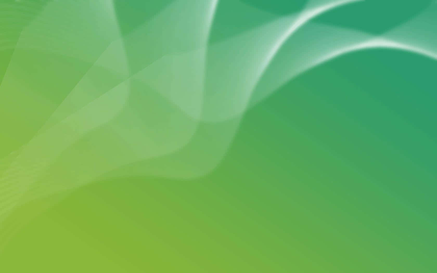 Vibrant Spectrum of Colors in Nature, green, white, HD Desktop Wallpaper