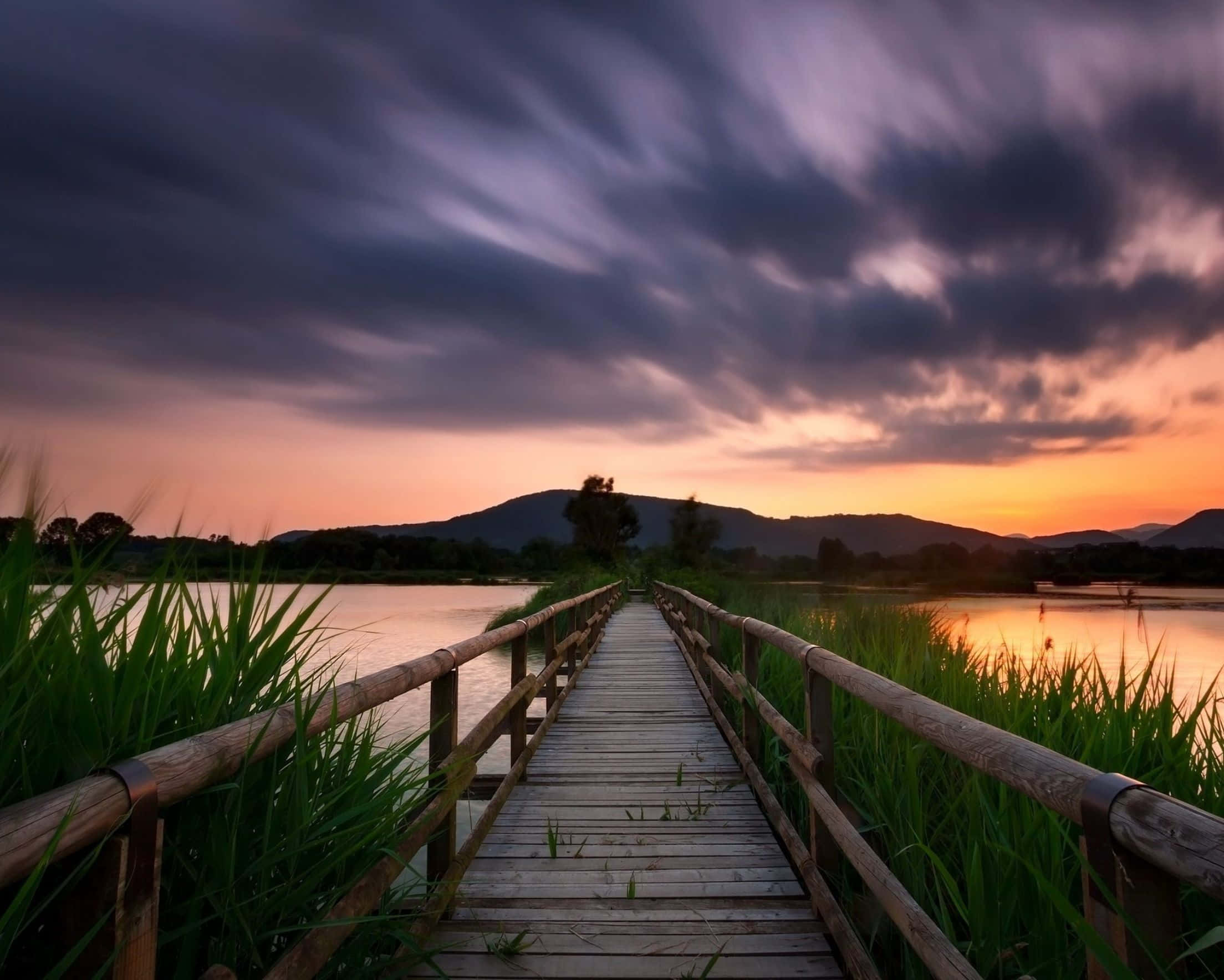 wooden boardwalk, tall reeds, distant hills, Full HD Desktop Wallpaper