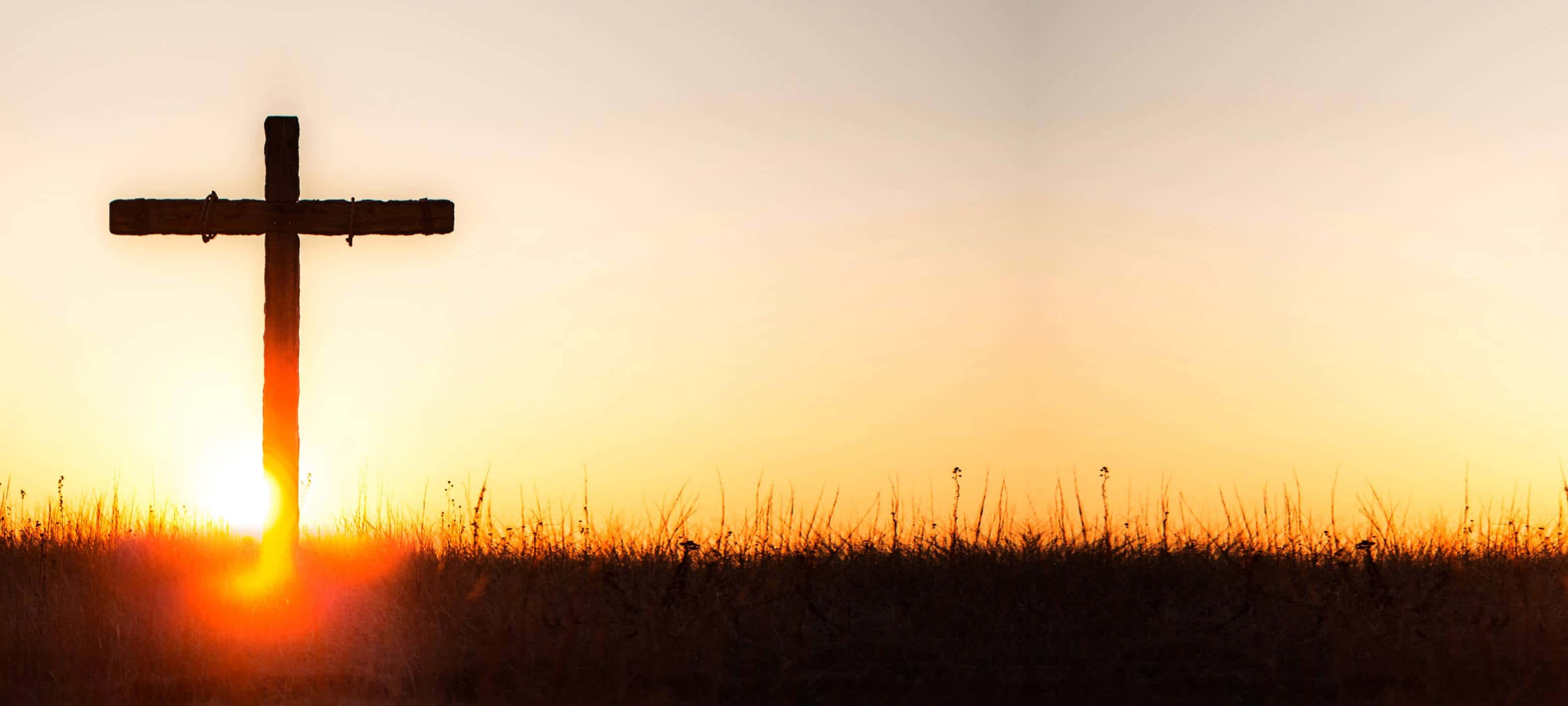 Cool Cross, sunset, field of tall grass, 2K Desktop Wallpaper