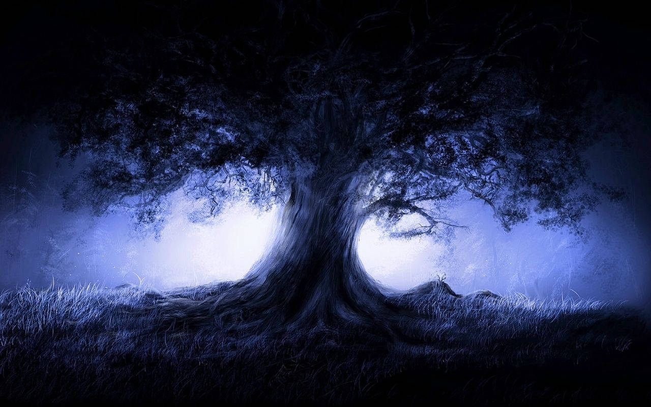 old tree, glowing blue moonlit sky, misty nocturnal forest, HD Desktop Wallpaper
