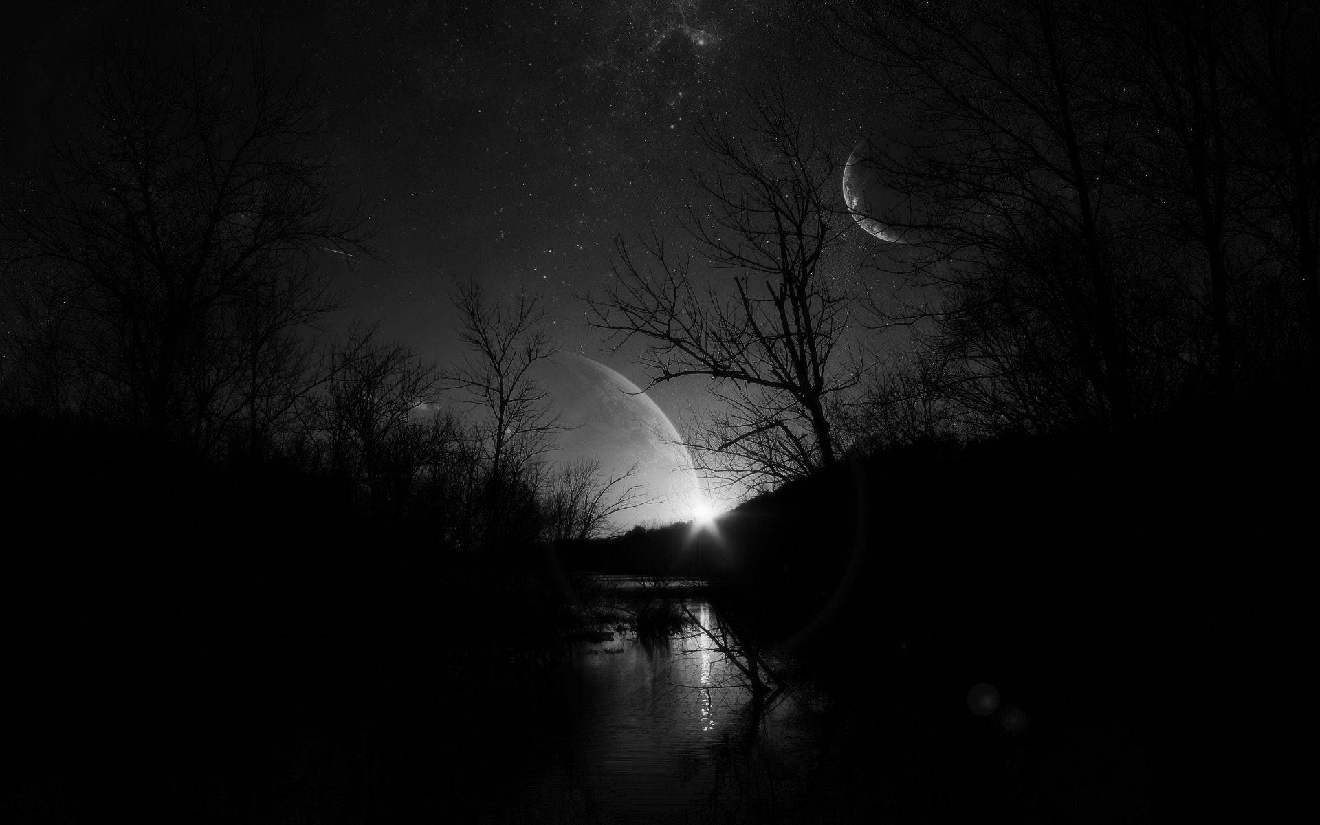 Beautiful Dark, swamp silhouette, bare trees, Full HD Desktop Wallpaper