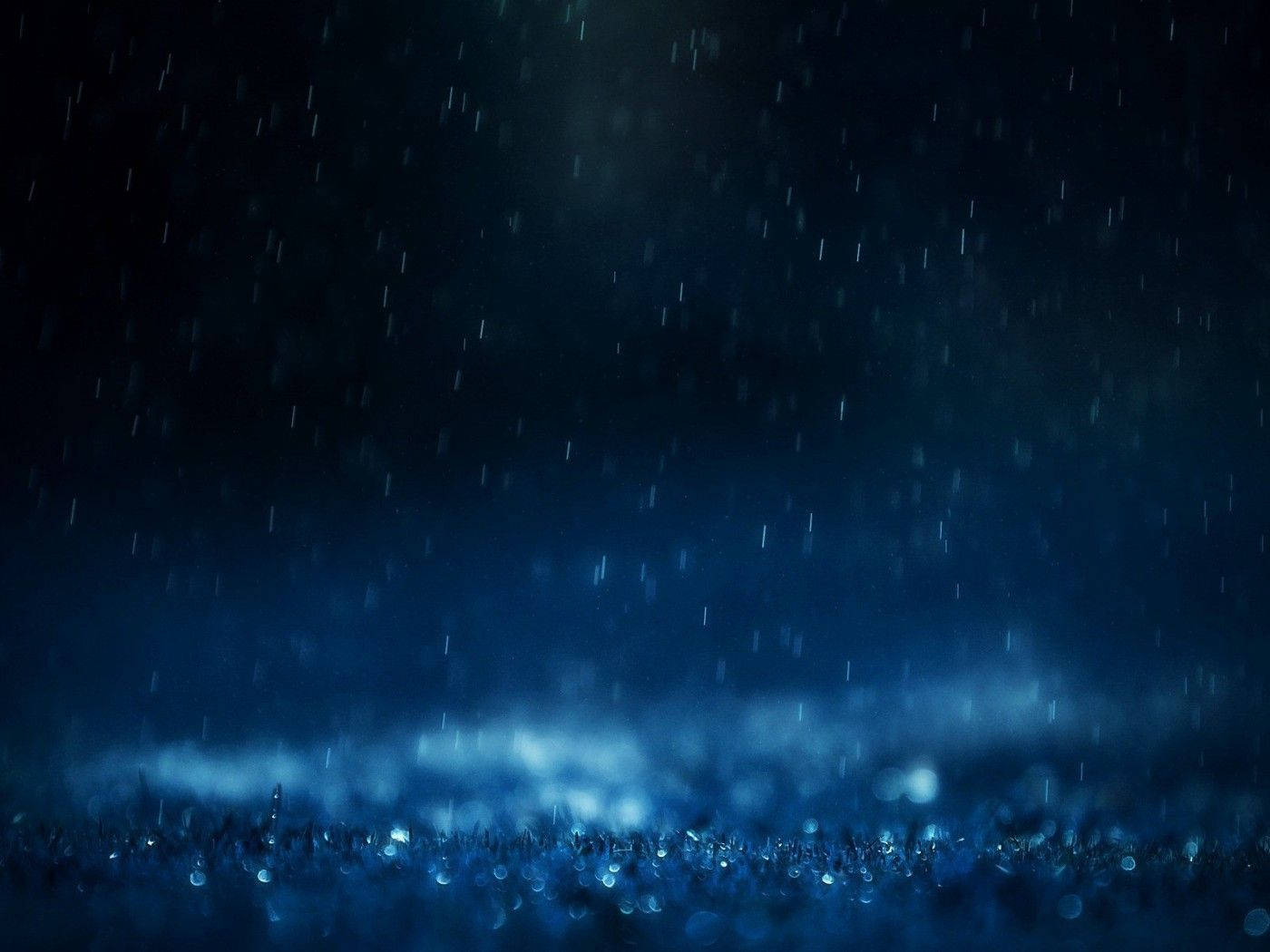 raining blue glitters, deep blue night sky, dewy grassy field, HD Desktop Wallpaper