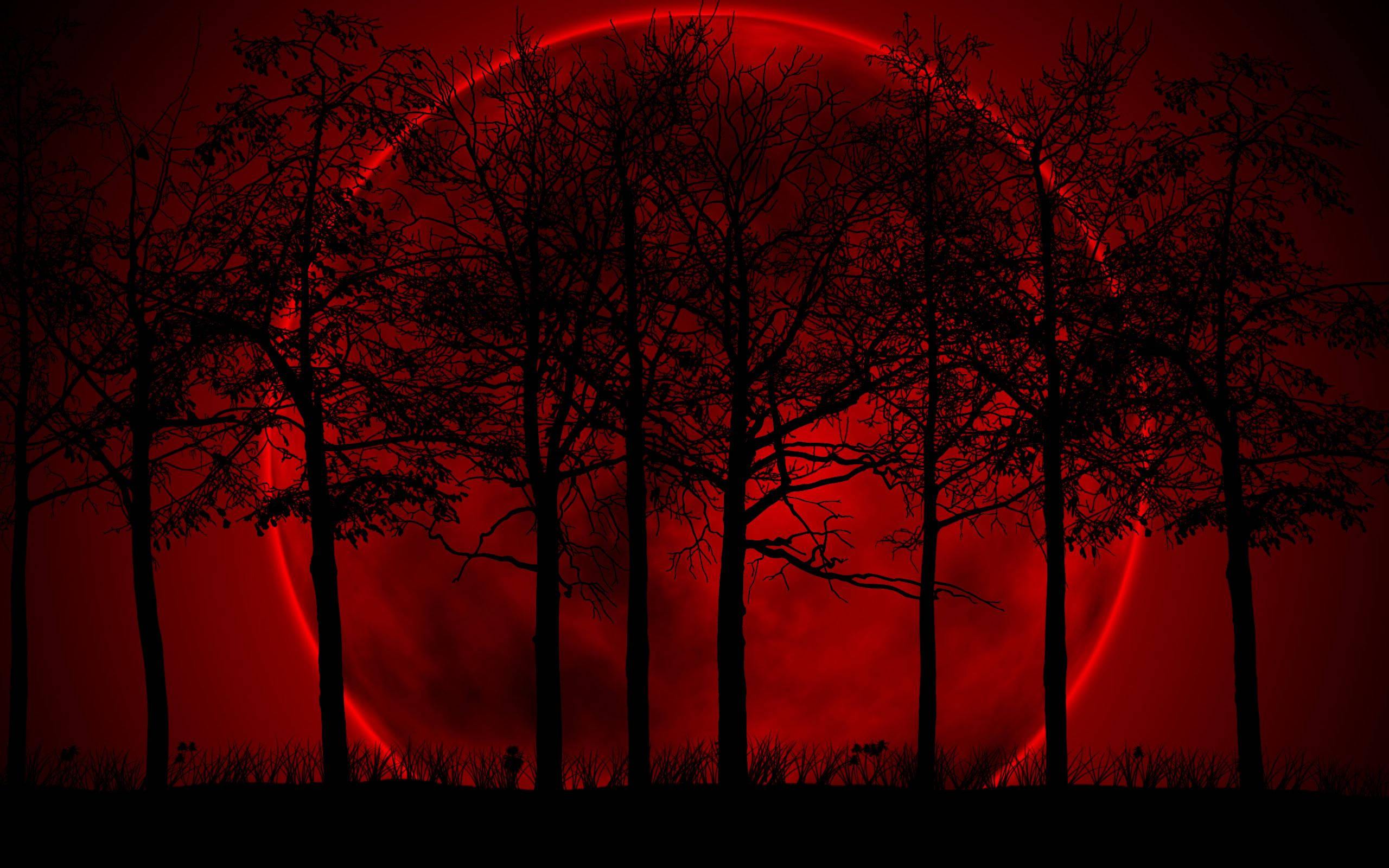 Beautiful Dark, blood moon, silhouetted trees, 2K Desktop Wallpaper