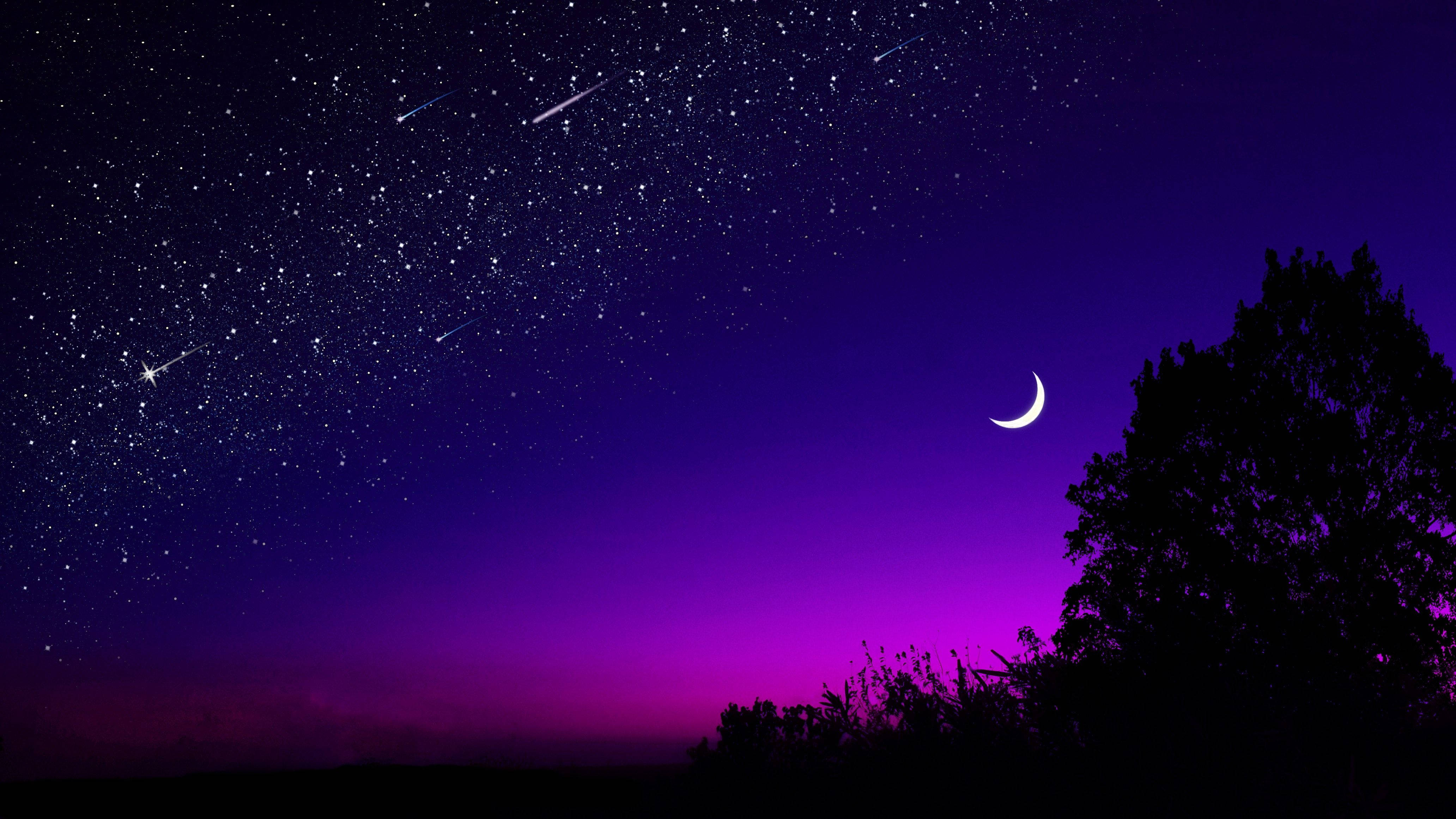 vibrant purple night sky, shooting stars, silhouetted tree, 4K Desktop Wallpaper