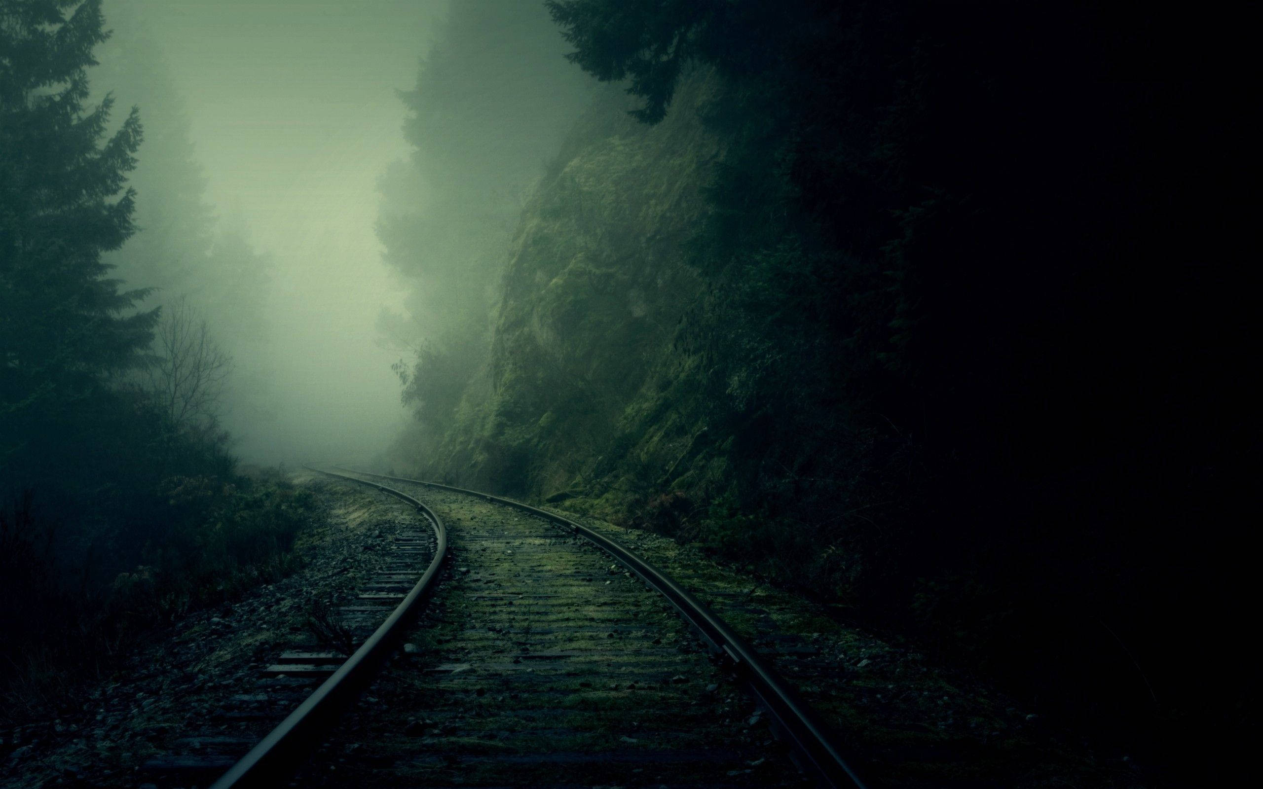 gloomy railway track, dark forest, mossy rocks, 2K Desktop Wallpaper