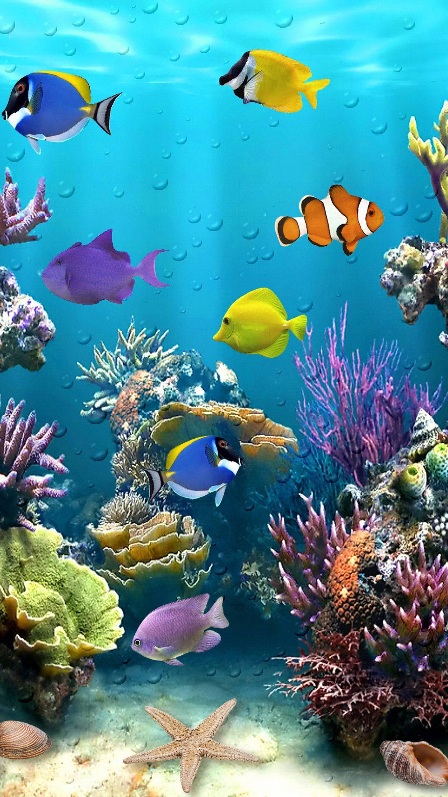 tropical fish, colorful coral reefs, sea stars, 2K Phone Wallpaper