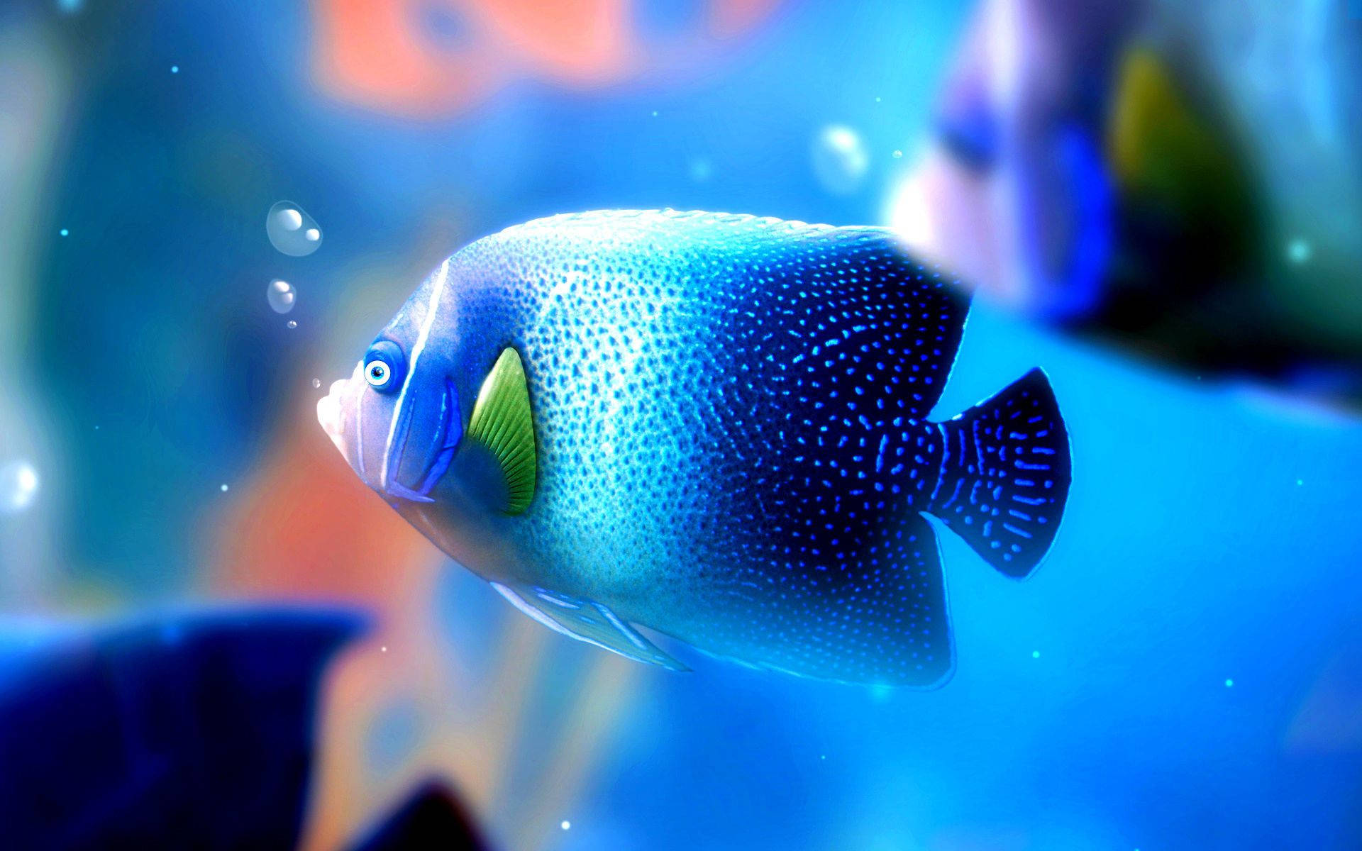 vibrant blue spotted angelfish, clear turquoise water, floating bubbles, Full HD Desktop Wallpaper
