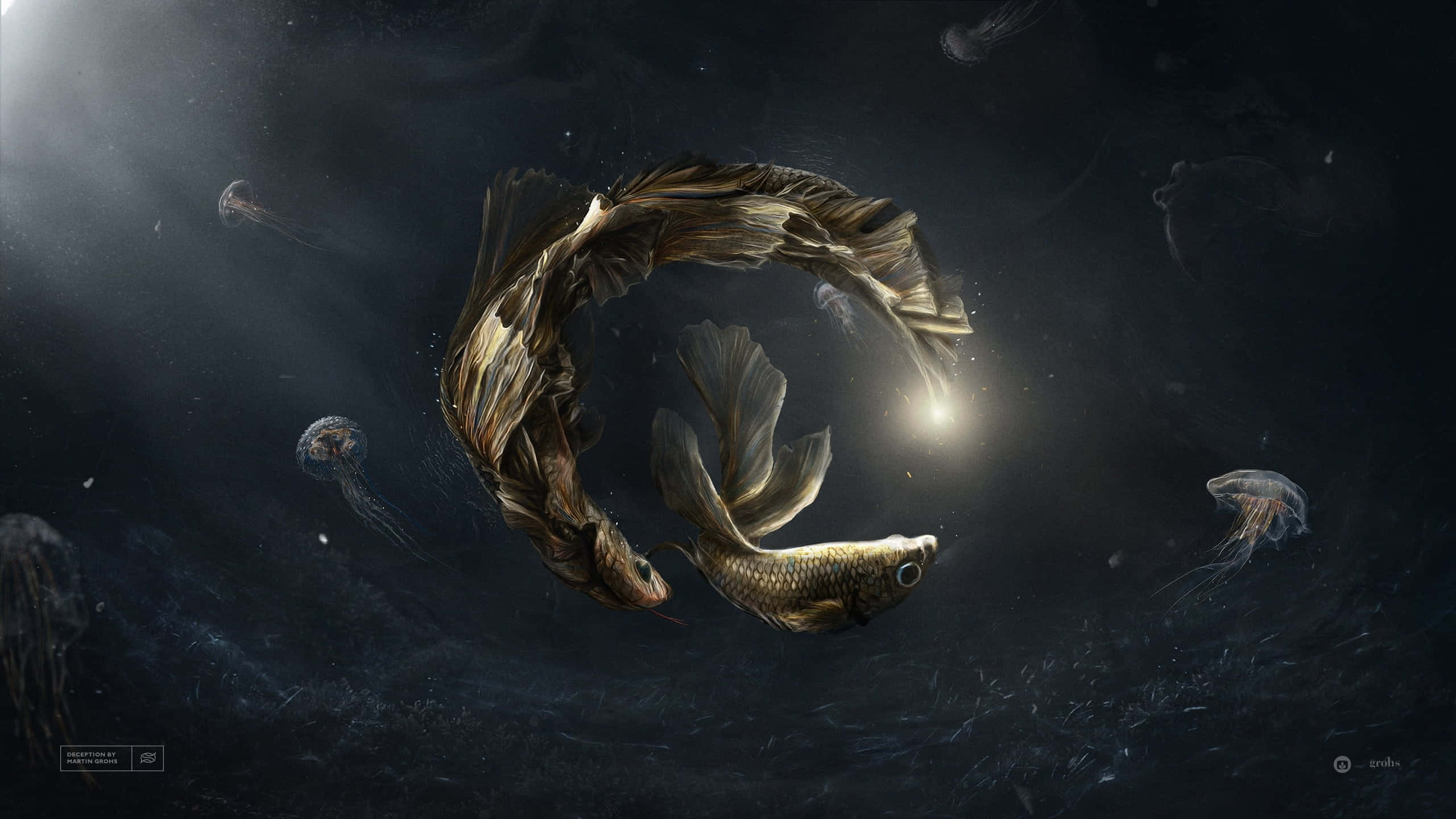 gold fish, starfish, dark water, 2K Desktop Wallpaper