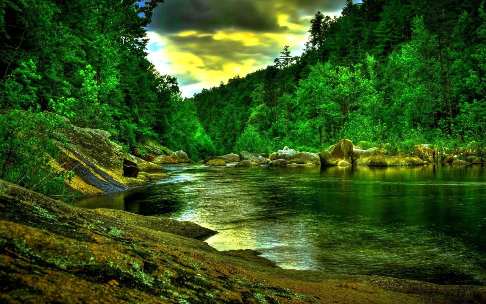 beautiful forest, vibrant green river, dense forest, HD Desktop Wallpaper