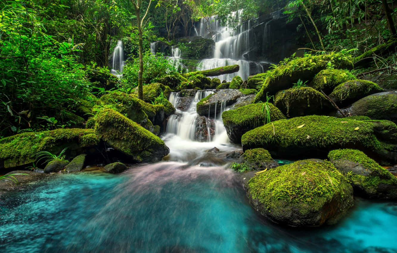 beautiful forest, tropical waterfall, mossy rocks, HD Desktop Wallpaper