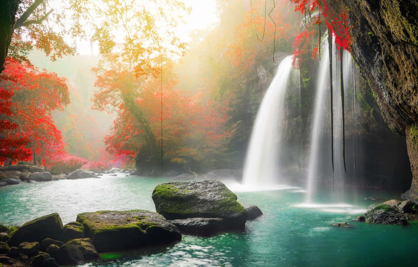 beautiful forest, vibrant red autumn trees, cascading waterfall, HD Desktop Wallpaper