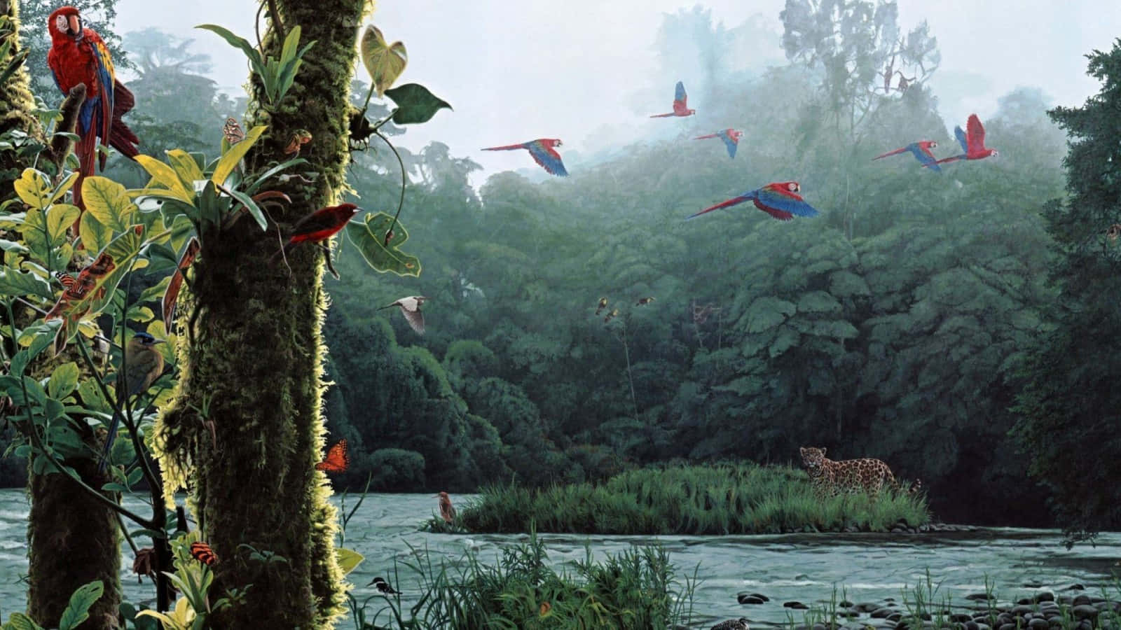 enchanted forest, vibrant red macaws, misty lush jungle, HD Desktop Wallpaper