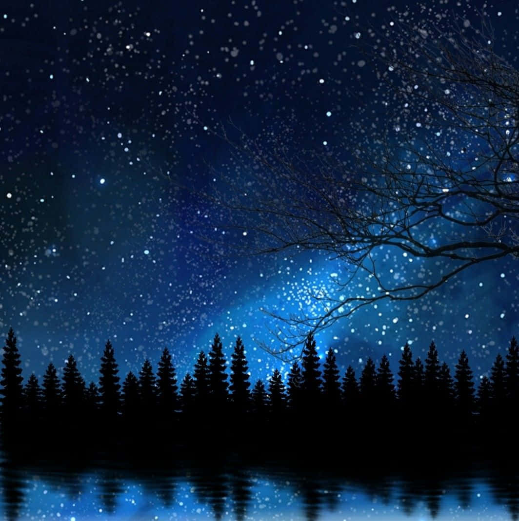 starry night sky, calm lake, silhouetted pine trees, SD Phone Wallpaper