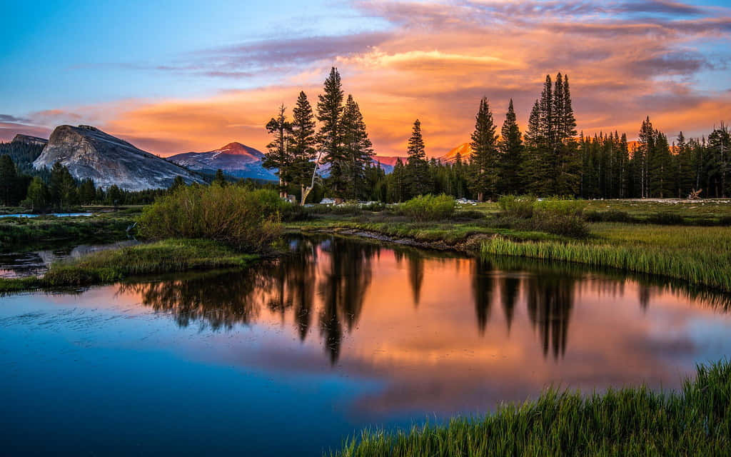 beautiful forest, sunset, mountain lake, SD Desktop Wallpaper