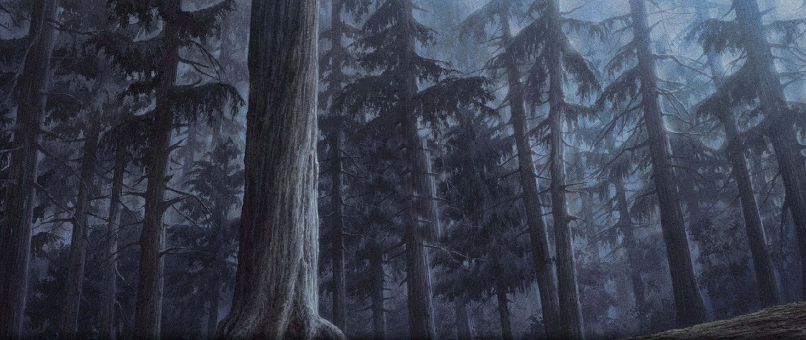 evergreen trees, misty forest, cool blue light, 2K Desktop Wallpaper
