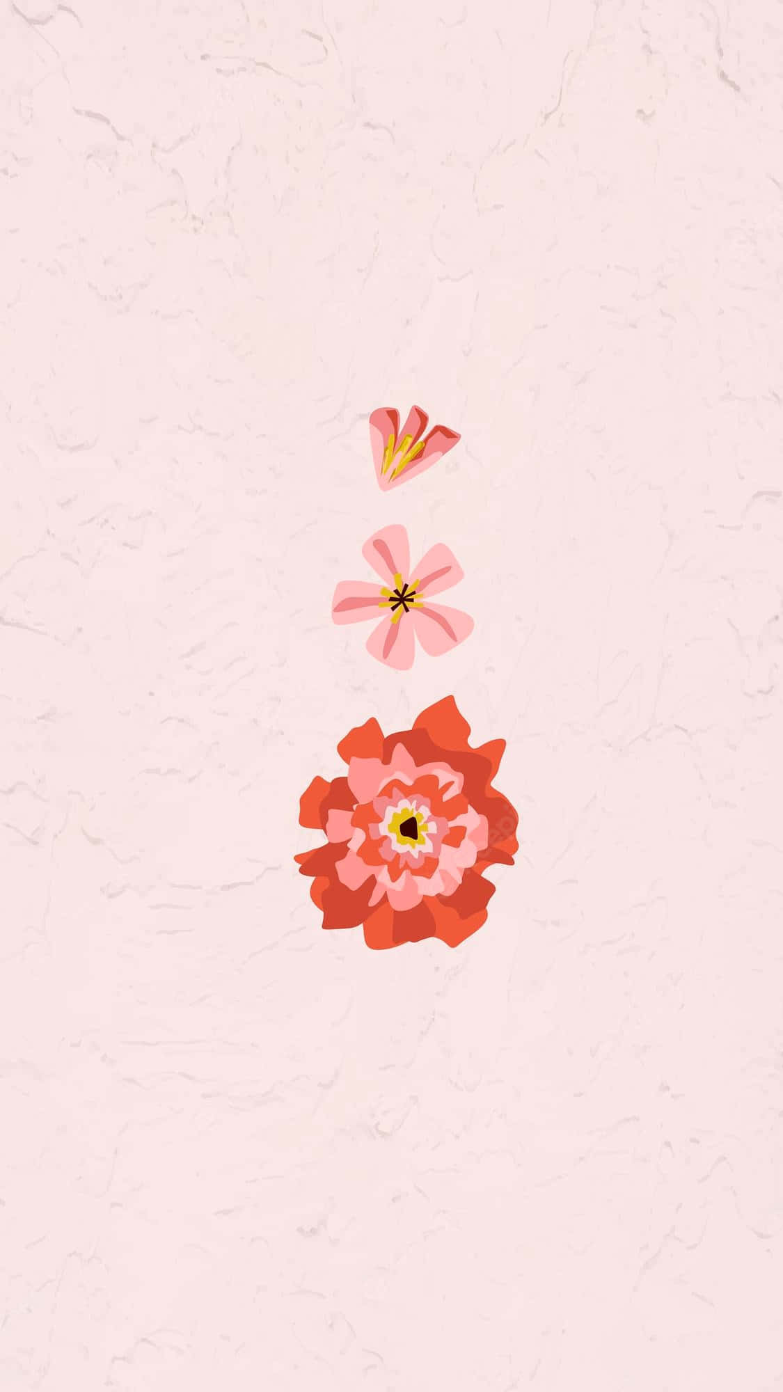 beautiful girly, pink, red, Full HD Phone Wallpaper