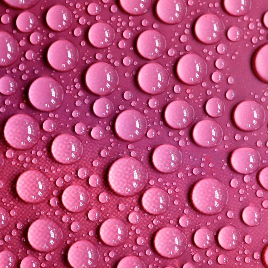 pink background, water droplets, magenta surface, SD Desktop Wallpaper