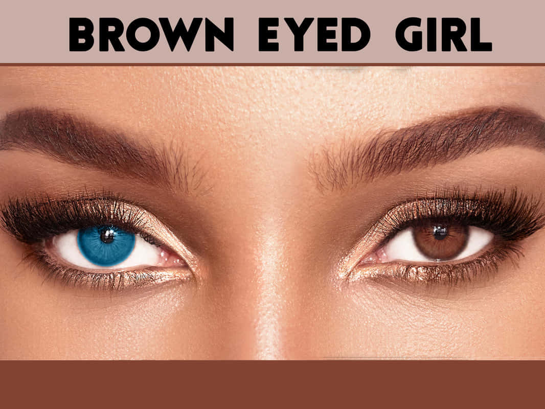brown eyed girl, blue one brown, dramatic lashes, SD Desktop Wallpaper