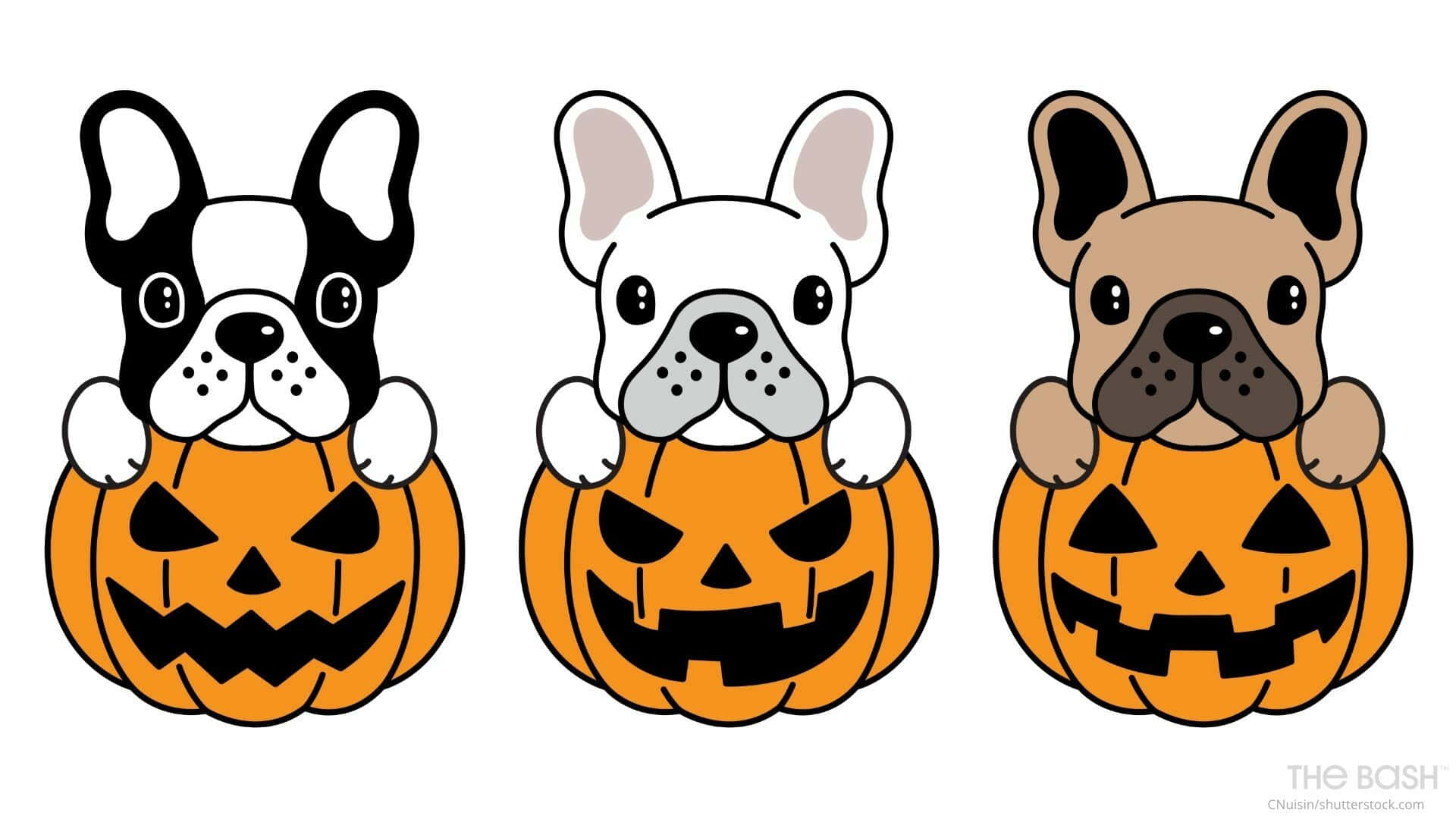 French Bulldogs, orange jack-o-lanterns, black triangular eyes, Full HD Desktop Wallpaper