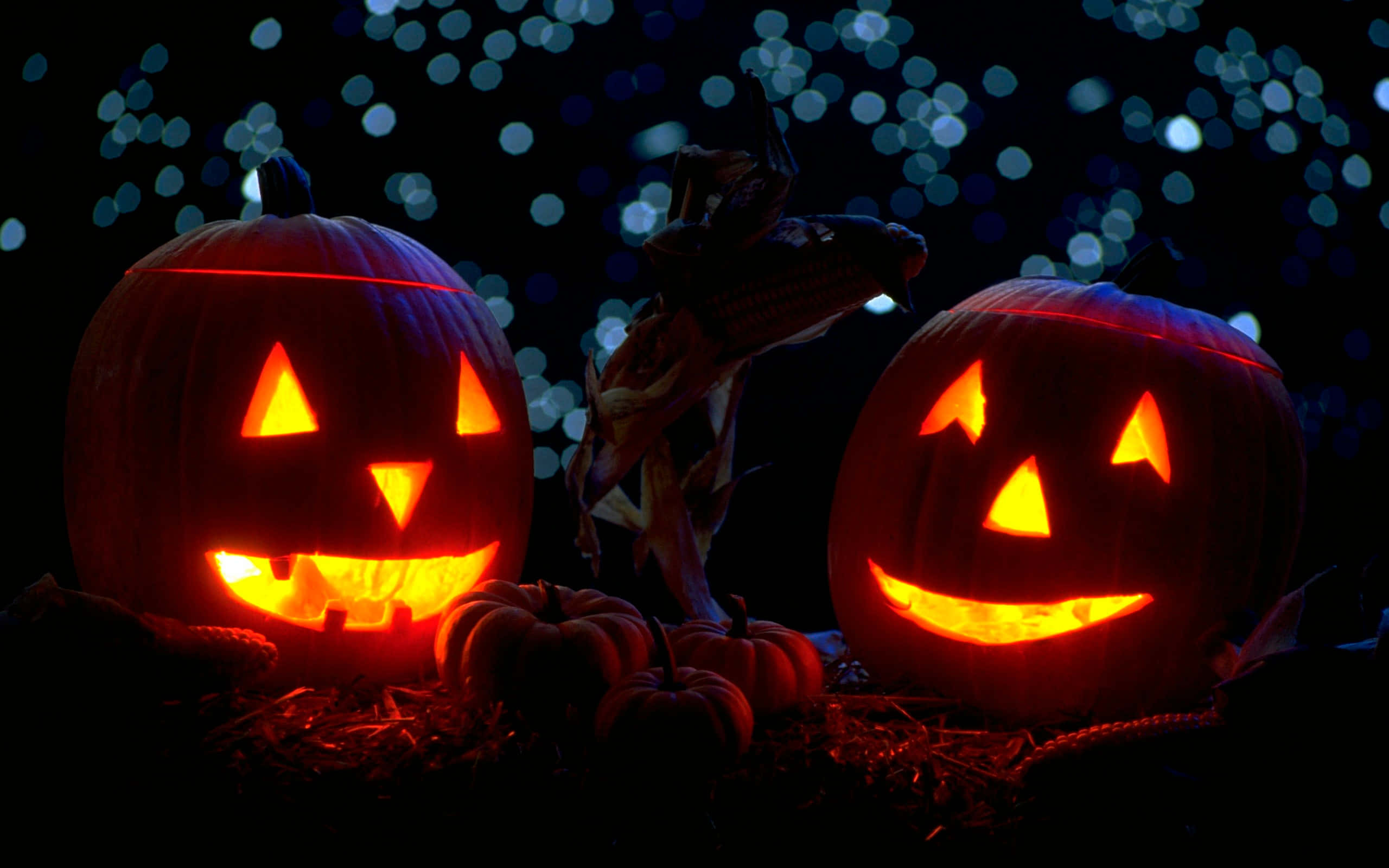jack-o'-lanterns, carved grins, hay, 2K Desktop Wallpaper